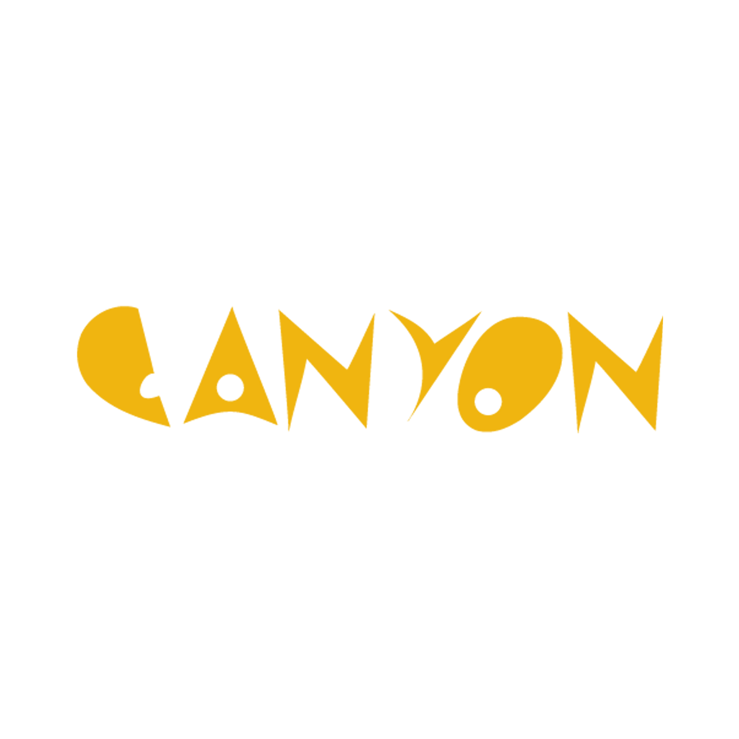 Canyon (Copy)
