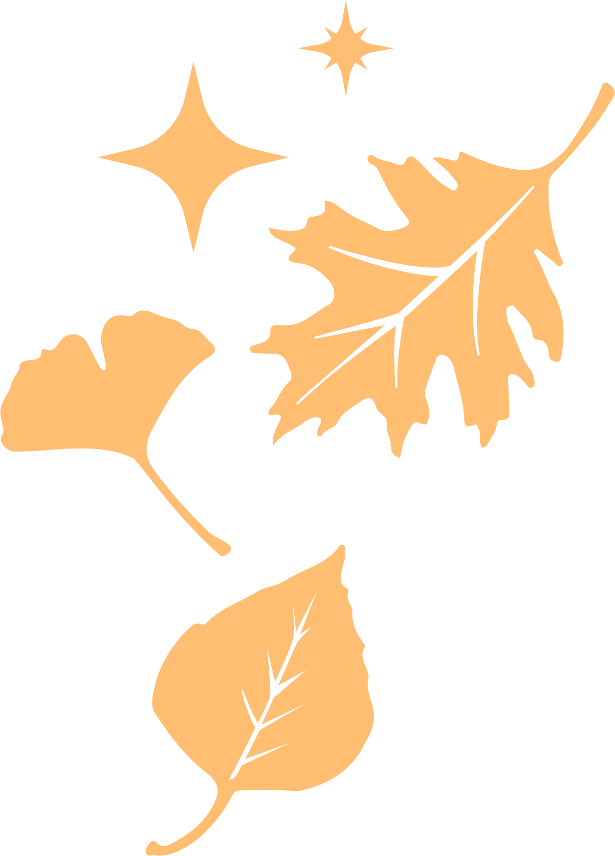 Group of Leaves + Sparkle