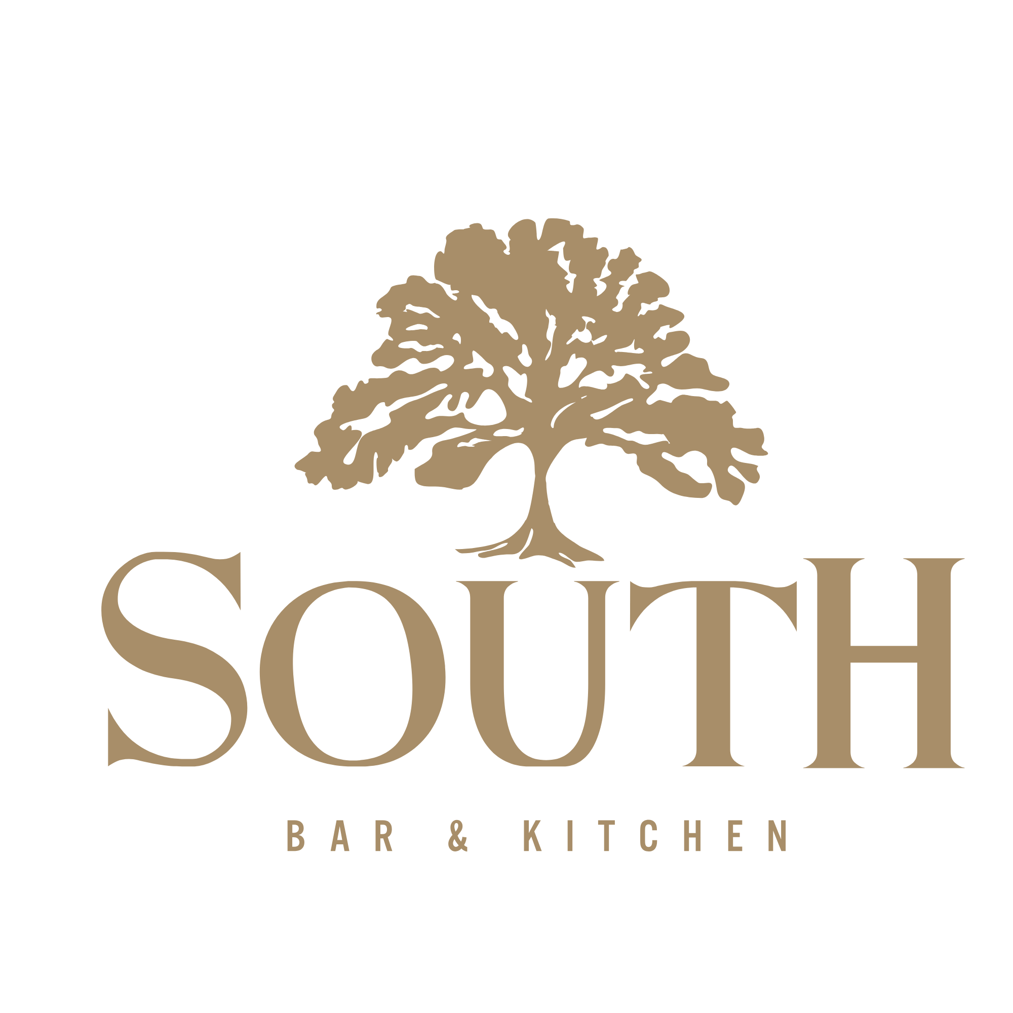 South Logo