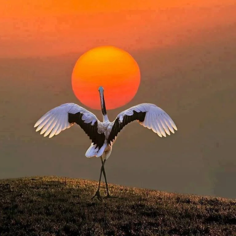 The Path to Wholeness: The Hakomi Somatic Process and the Sensitivity Cycle