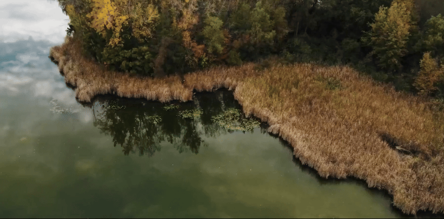 Chasing a Healthy Watershed