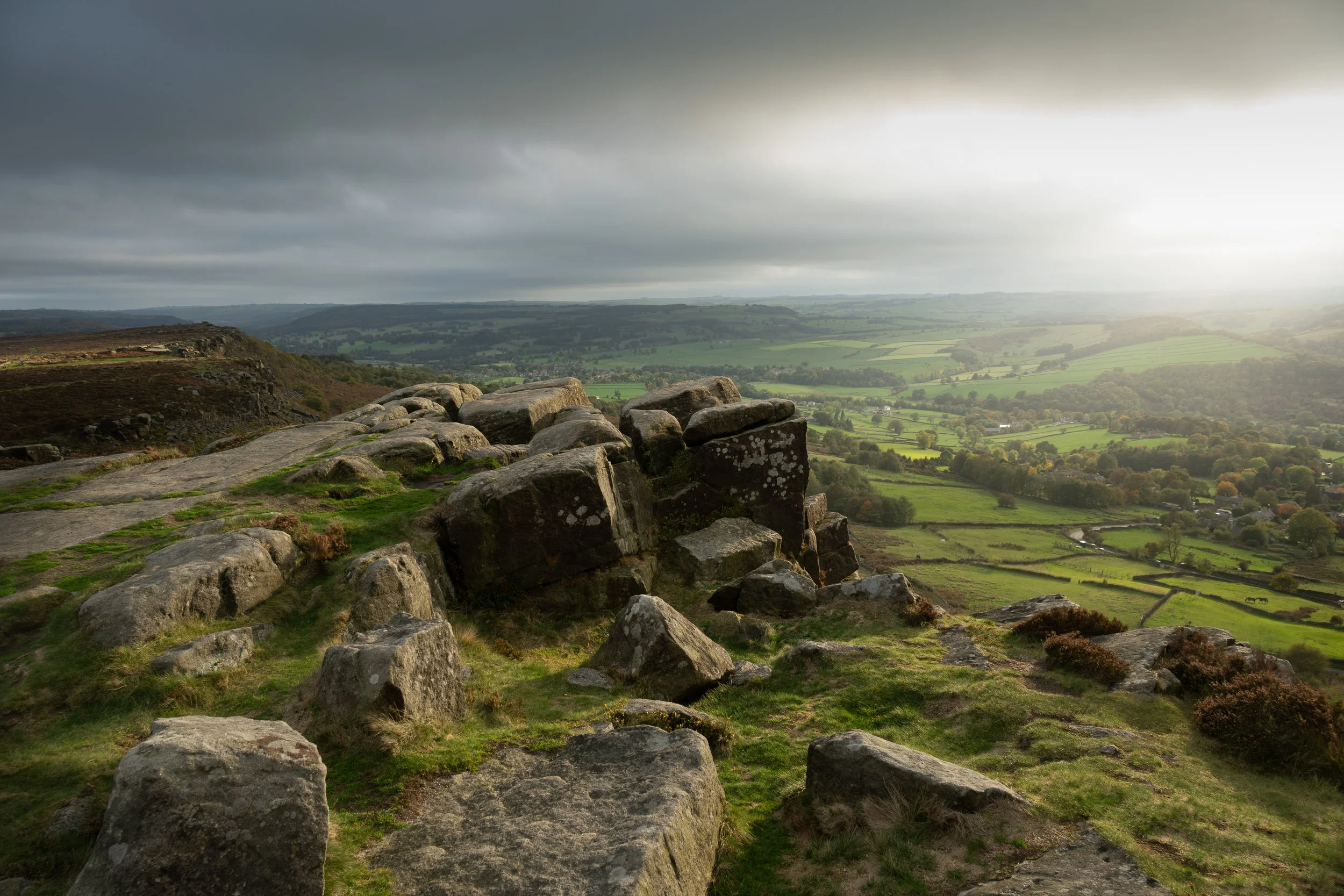_Z8D8437-Edit.jpg