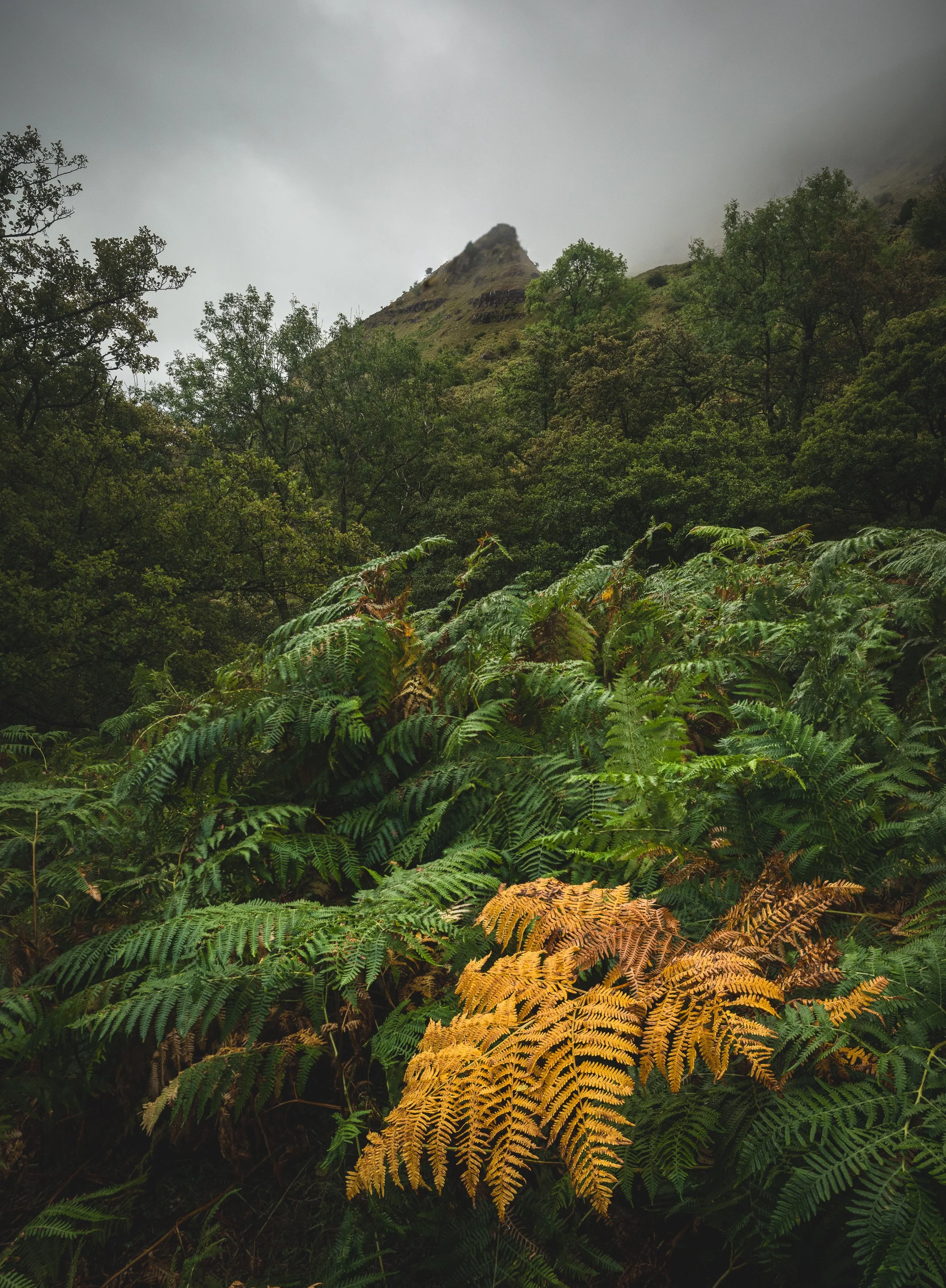 _Z8D1358-Edit-2.jpg