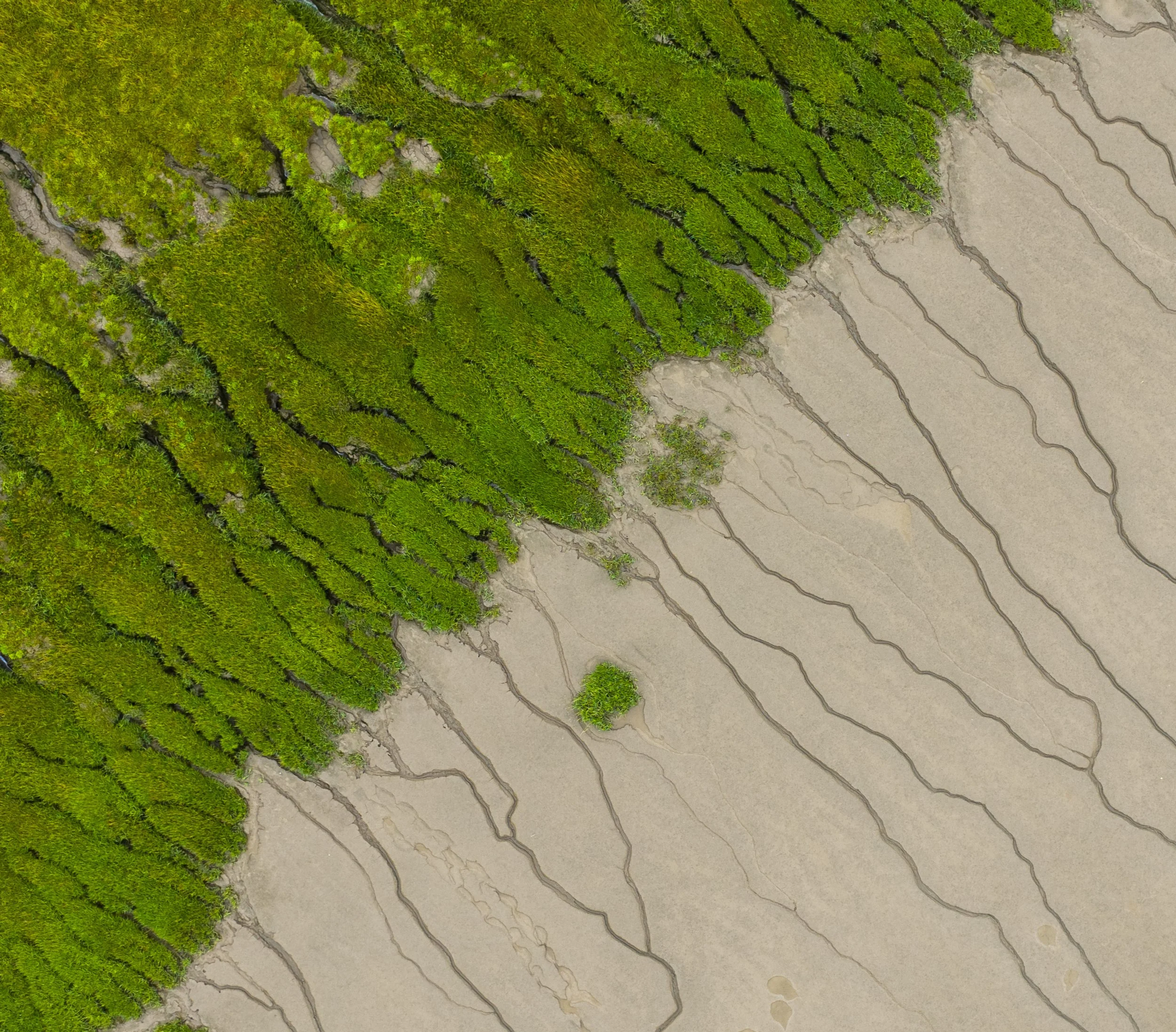 DJI_20250902110208_0941_D.jpg