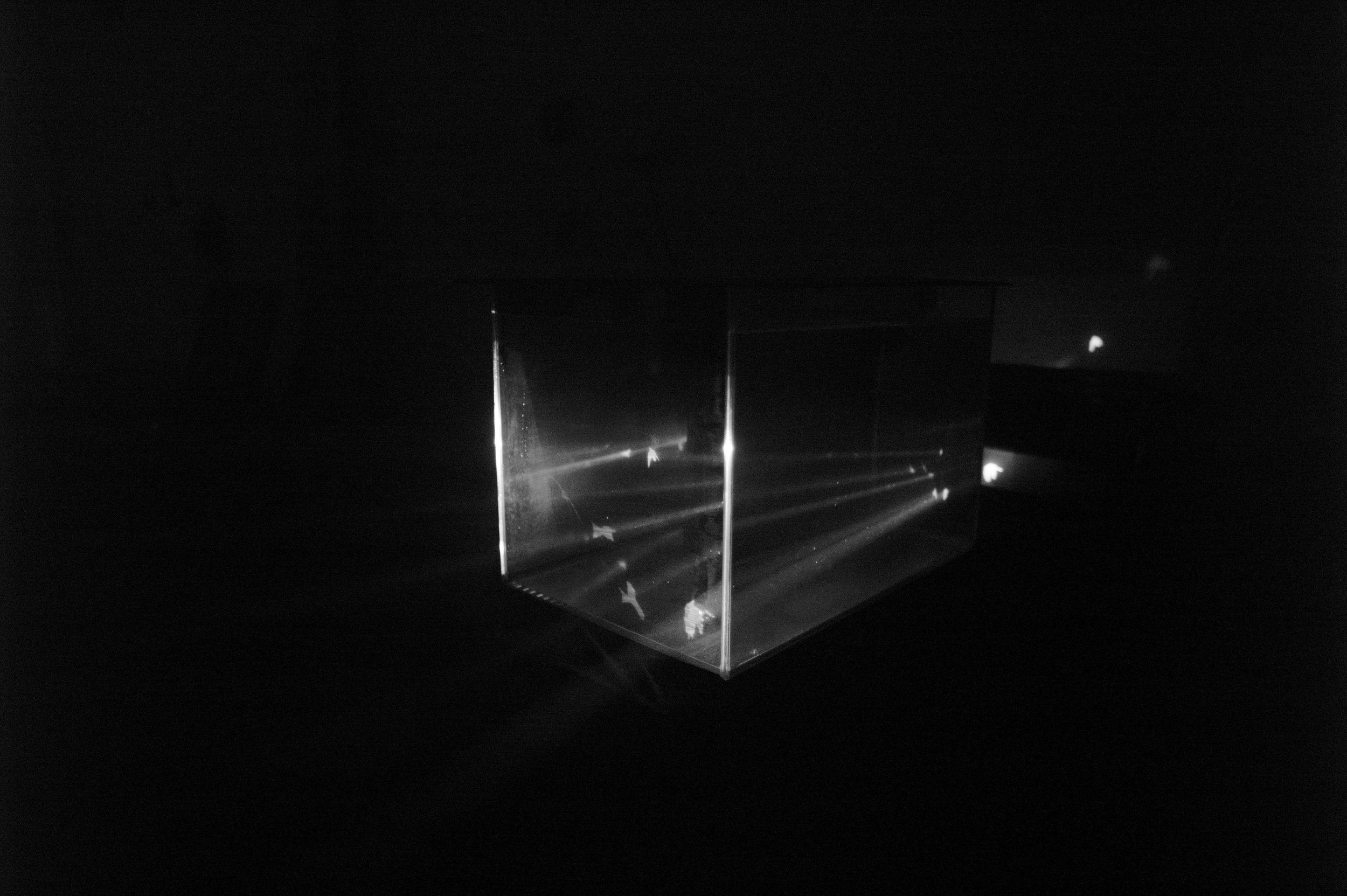 L1018994.jpg