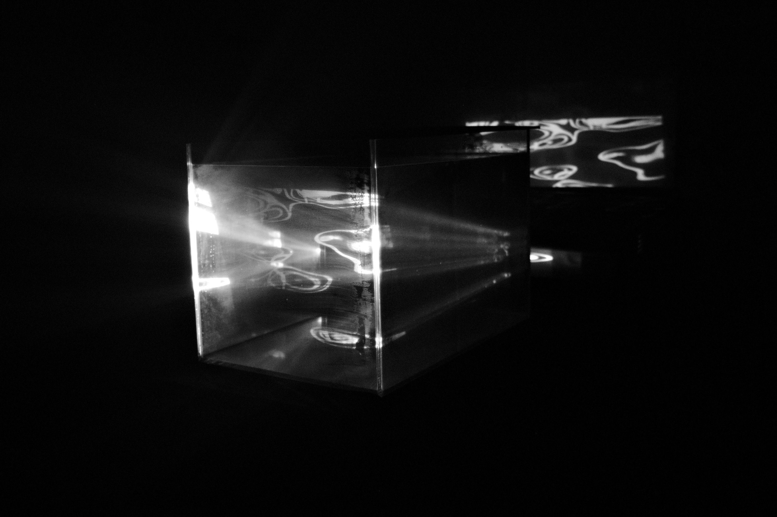 L1018990.jpg