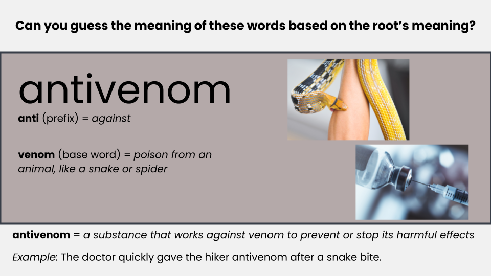 Advanced Word Study Program — Reading Rev