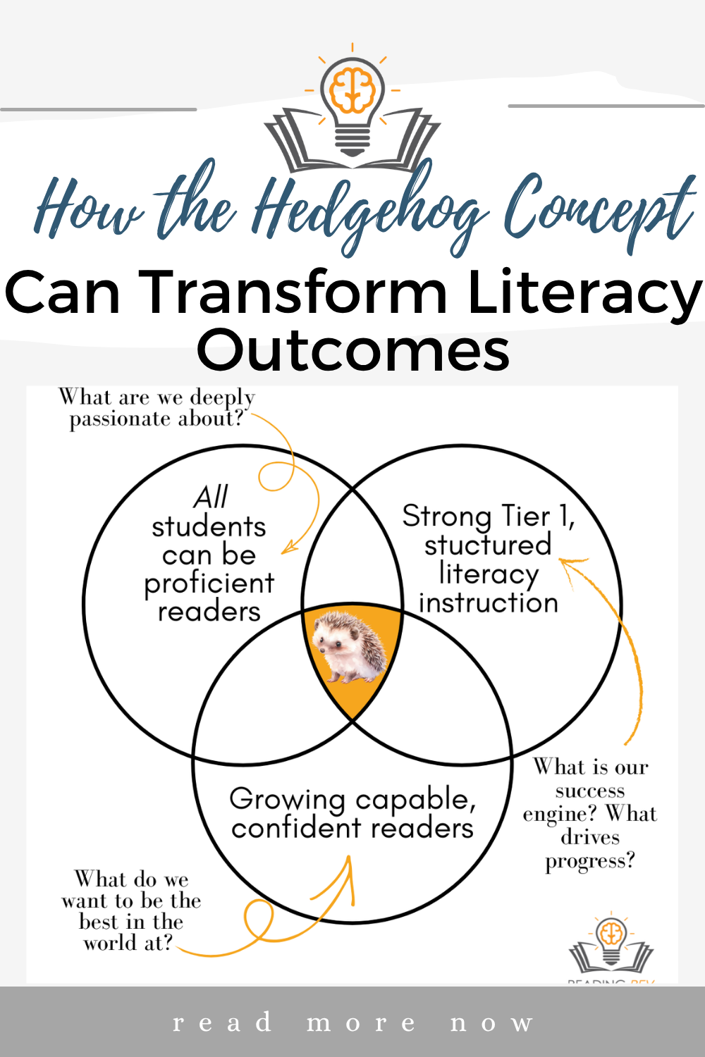 How the Hedgehog Concept Can Transform Literacy Outcomes in Schools