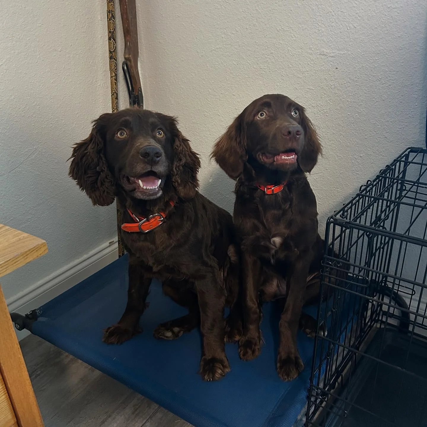 Tonight we&rsquo;re hanging out with @skylarpaynemusic at @filthymcnastyssaloon  9:30-12:30pm. Swing by for some fun songs and good celebrations