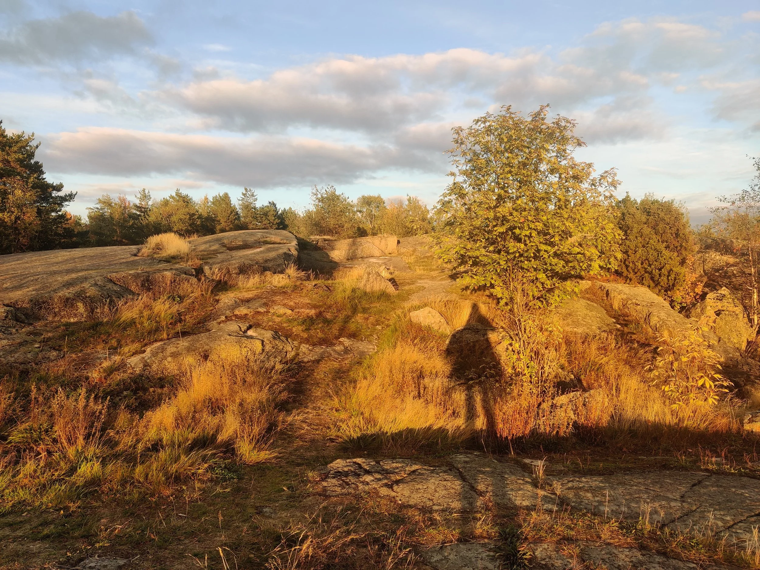 IMG_20220925_183726.jpg