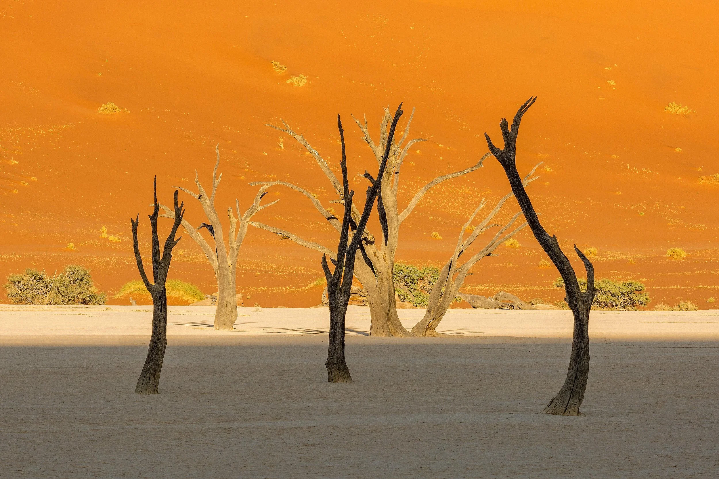 Namibia 2019 Feb TIFF-37.jpg