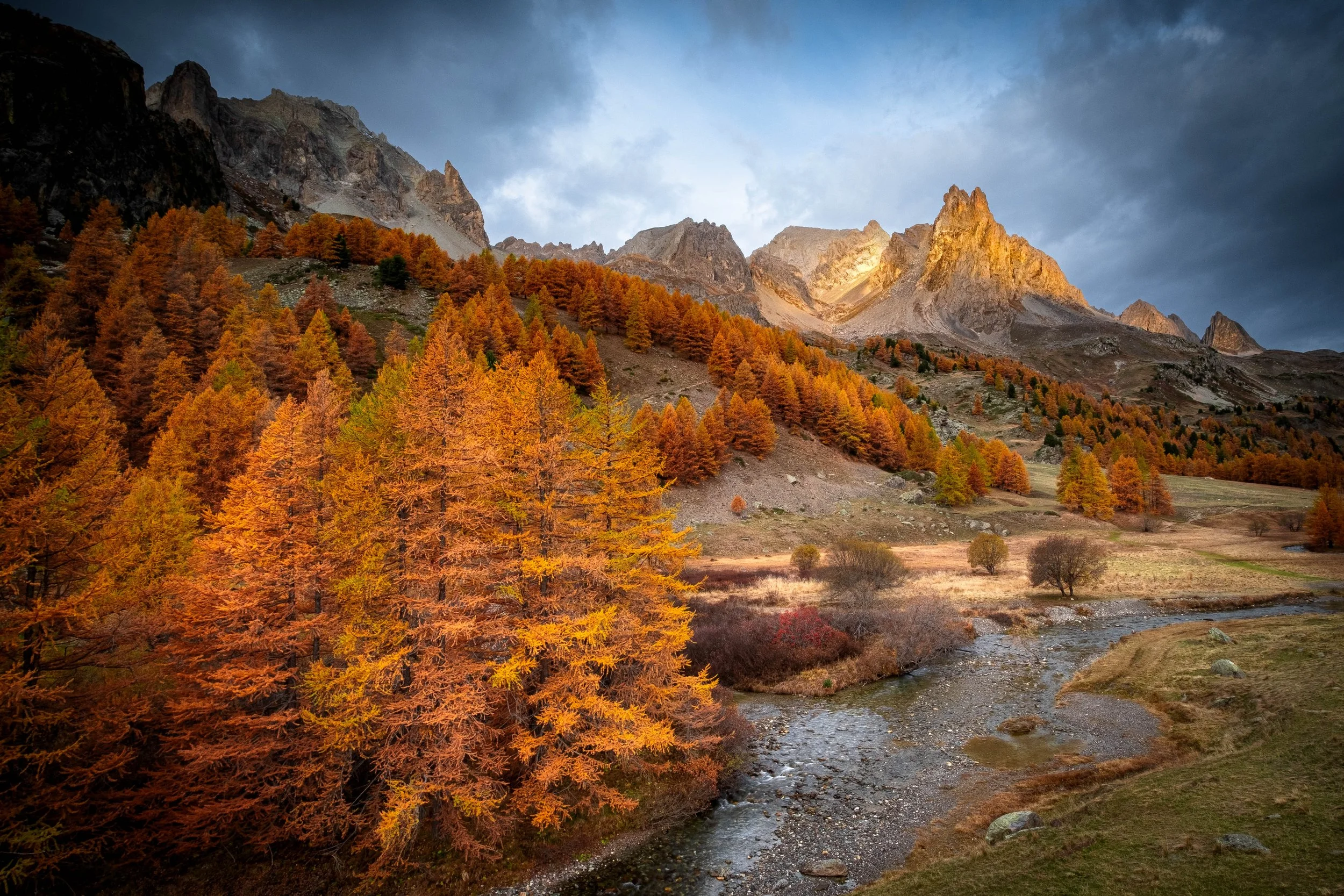 Sunday Picture Sept 22 2024.jpg