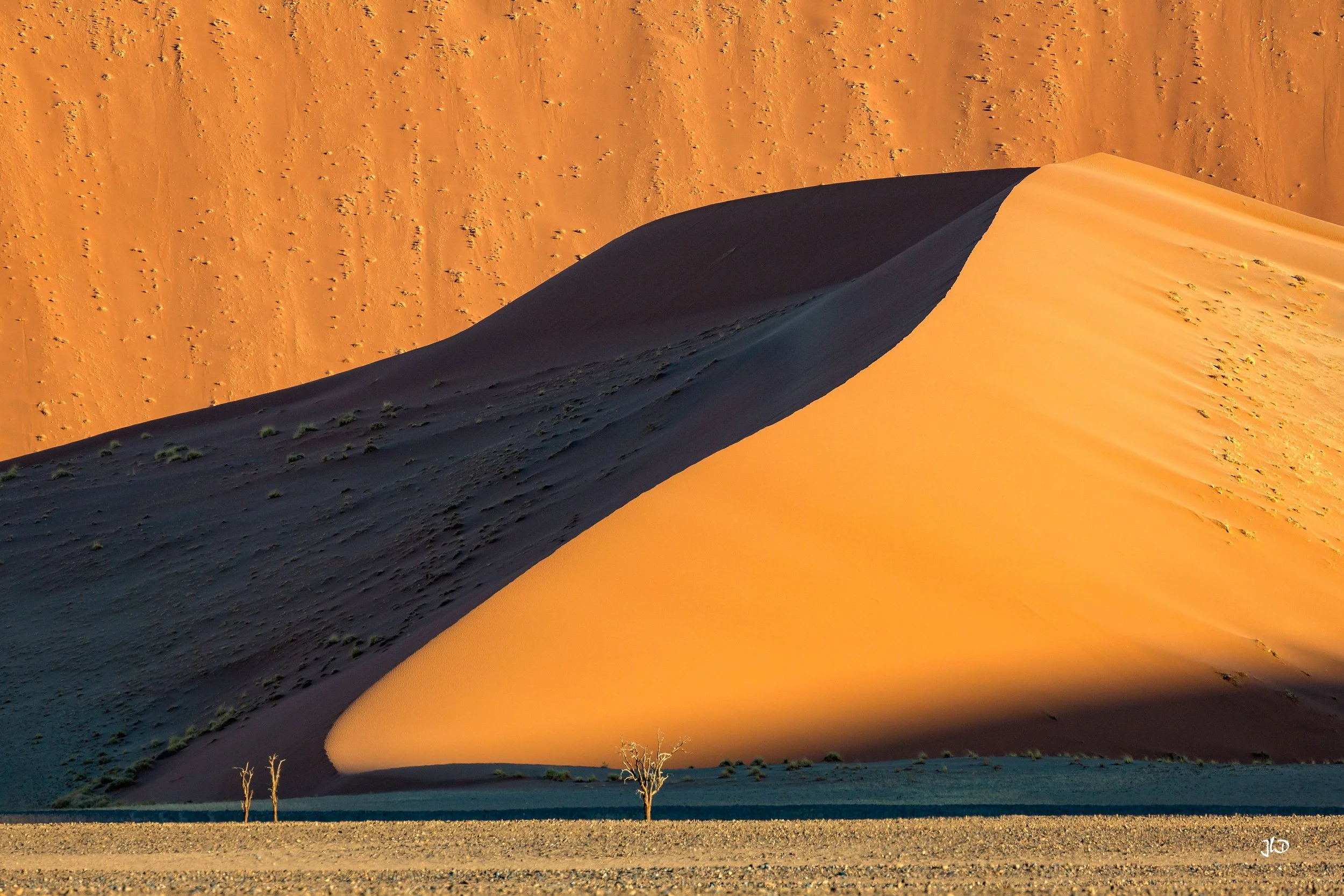 Sunday Picture May 9 2021.jpg