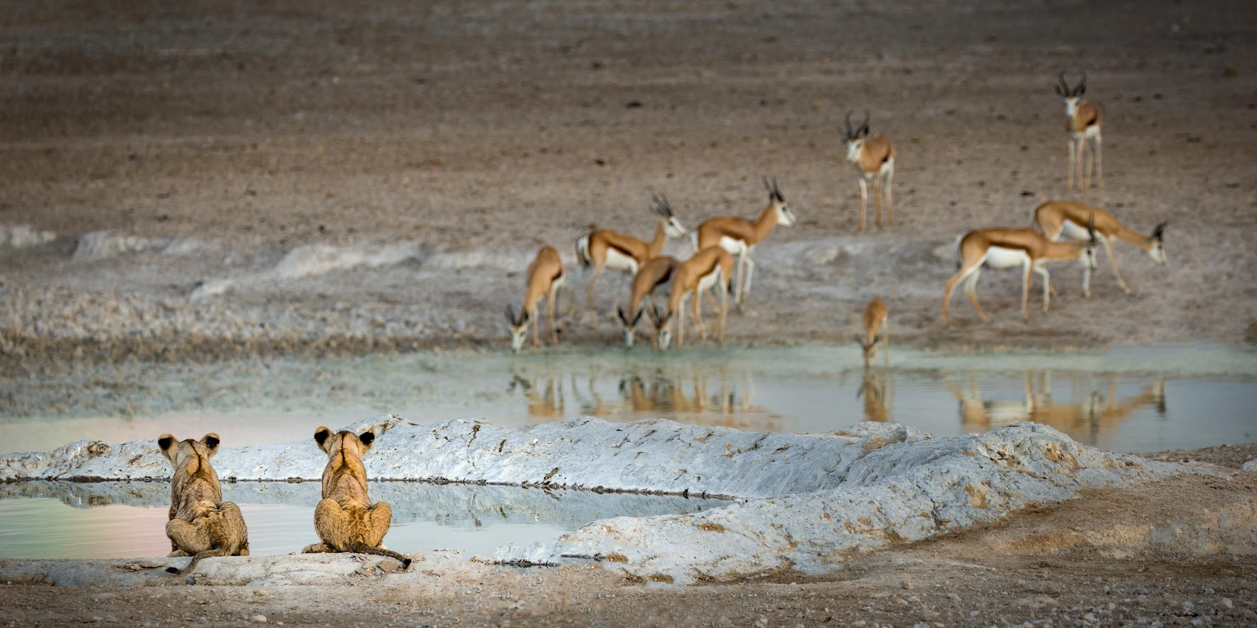 Namibia 2019 Feb TIFF-11.jpg