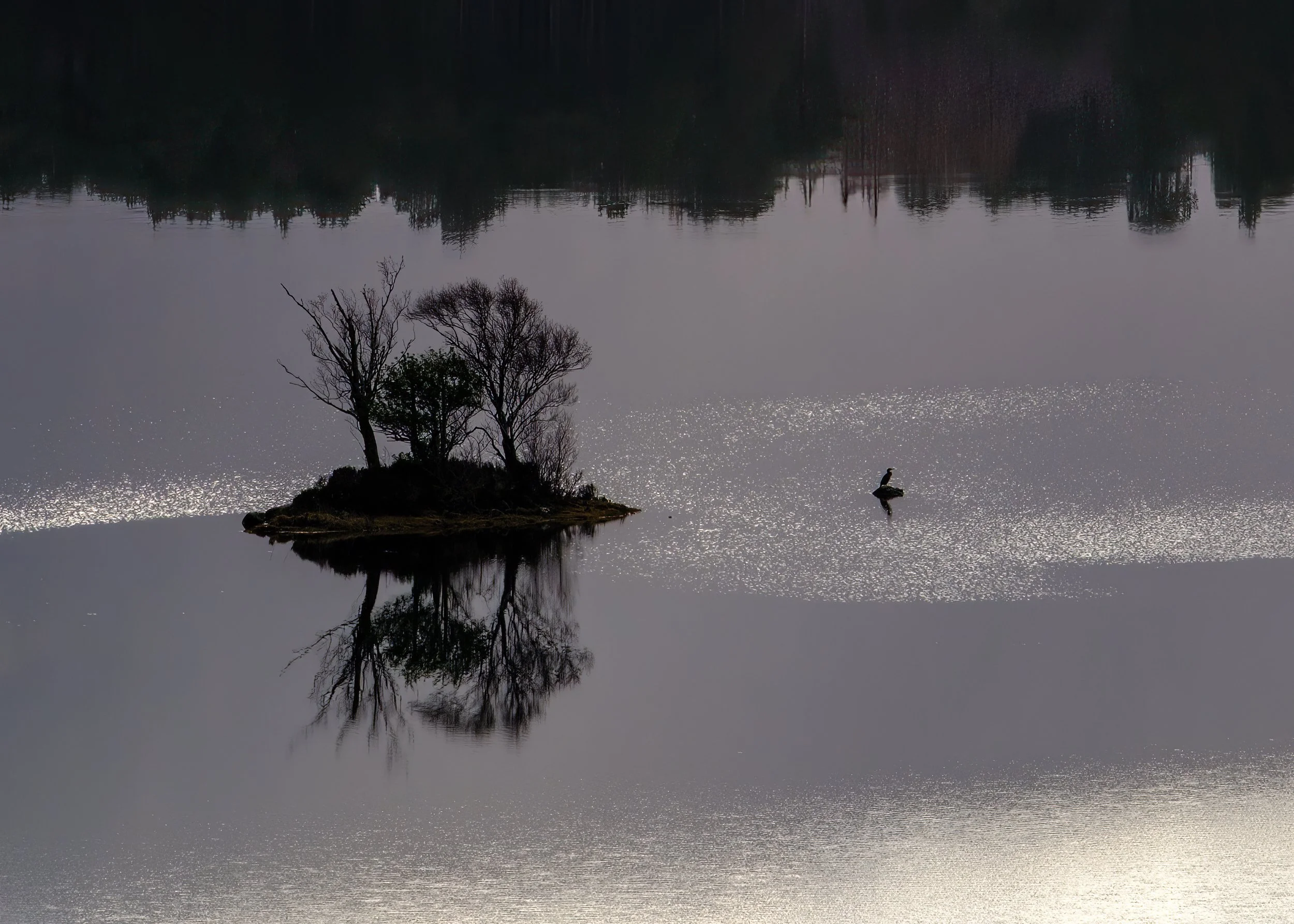 Scotland Torridon-2025 février-_DSF1537-Modifier.jpg