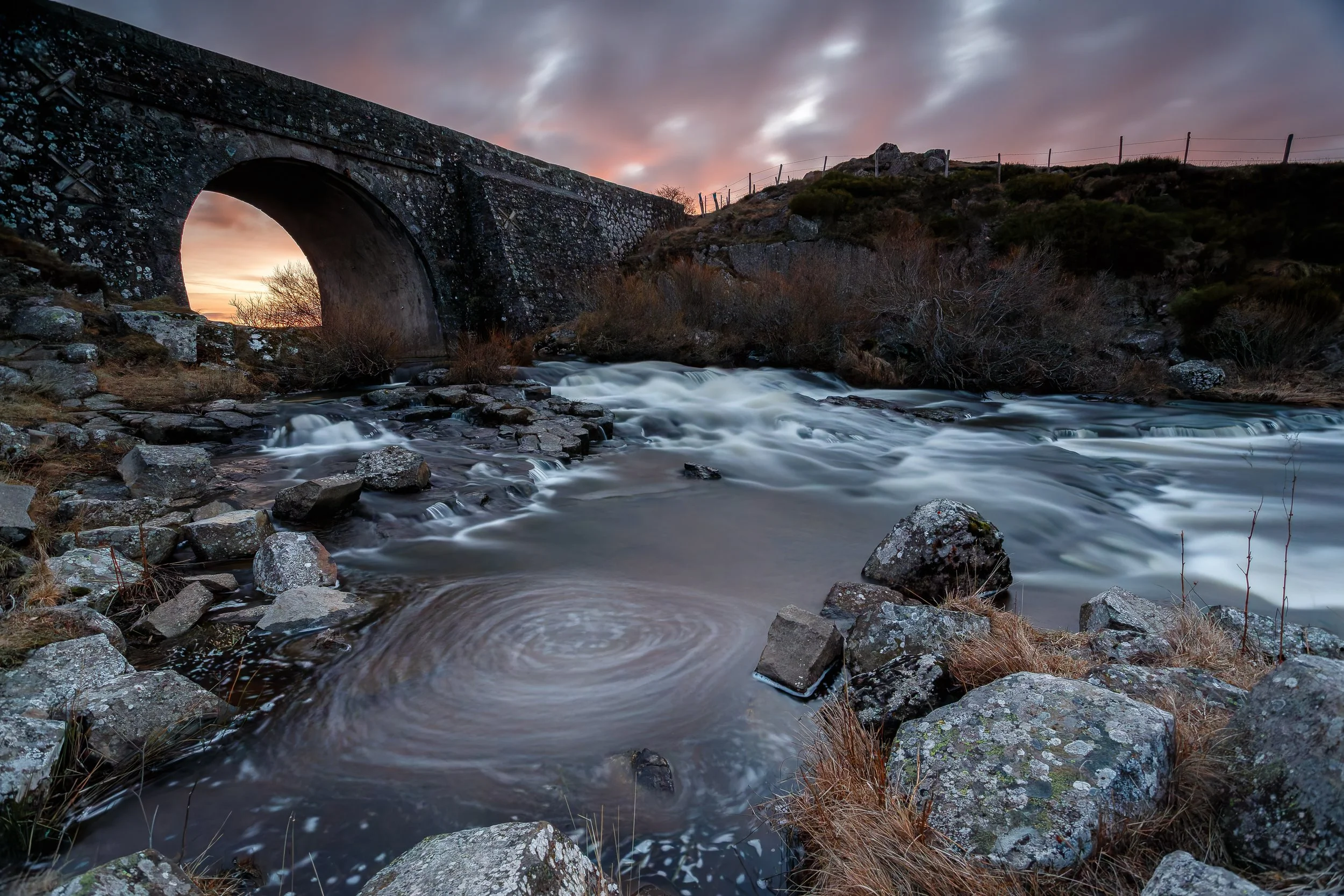 Sunday Picture Jan 25 2026.jpg