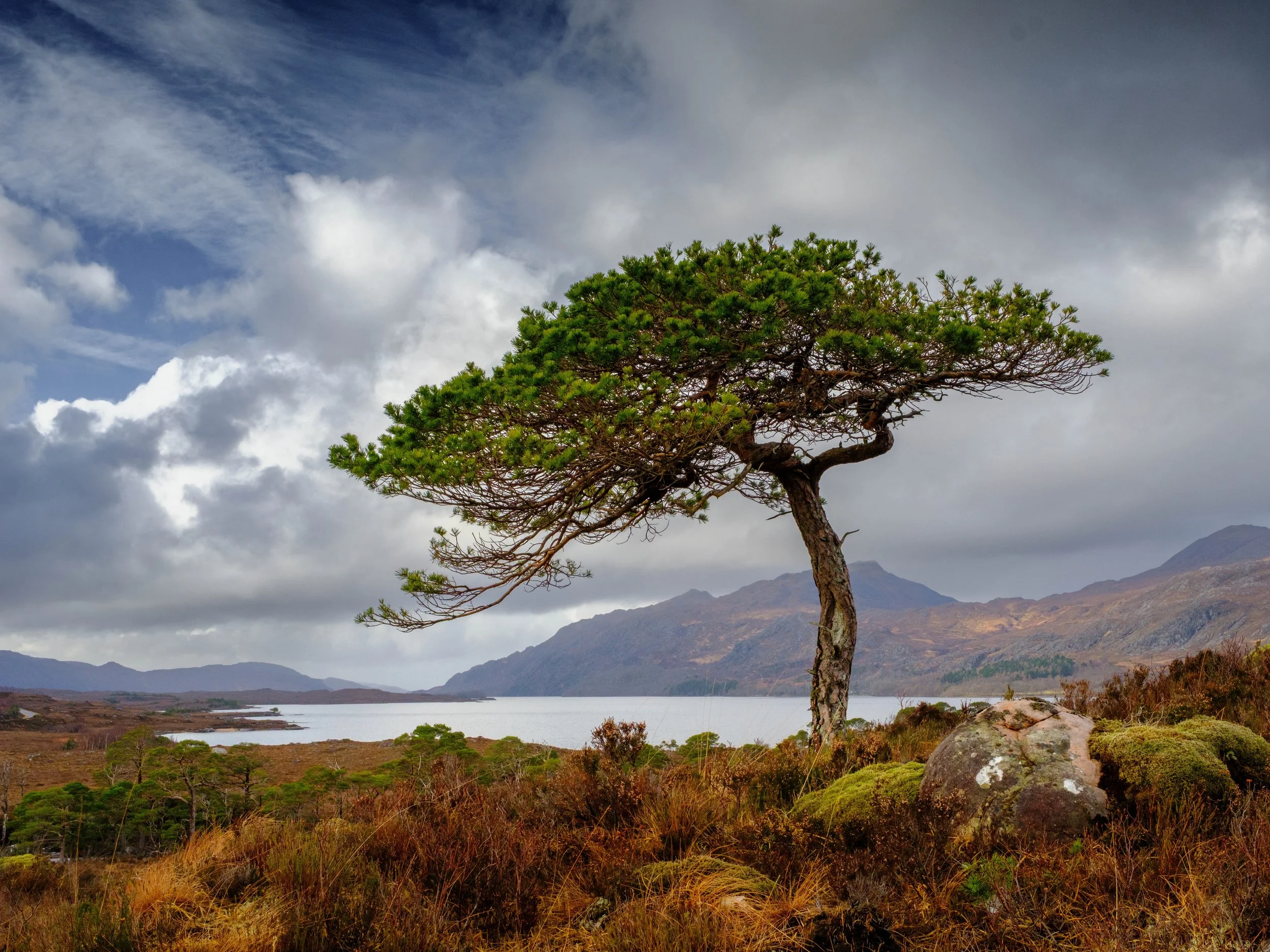 Scotland Torridon-2025 février-_DSF8930-Modifier.jpg