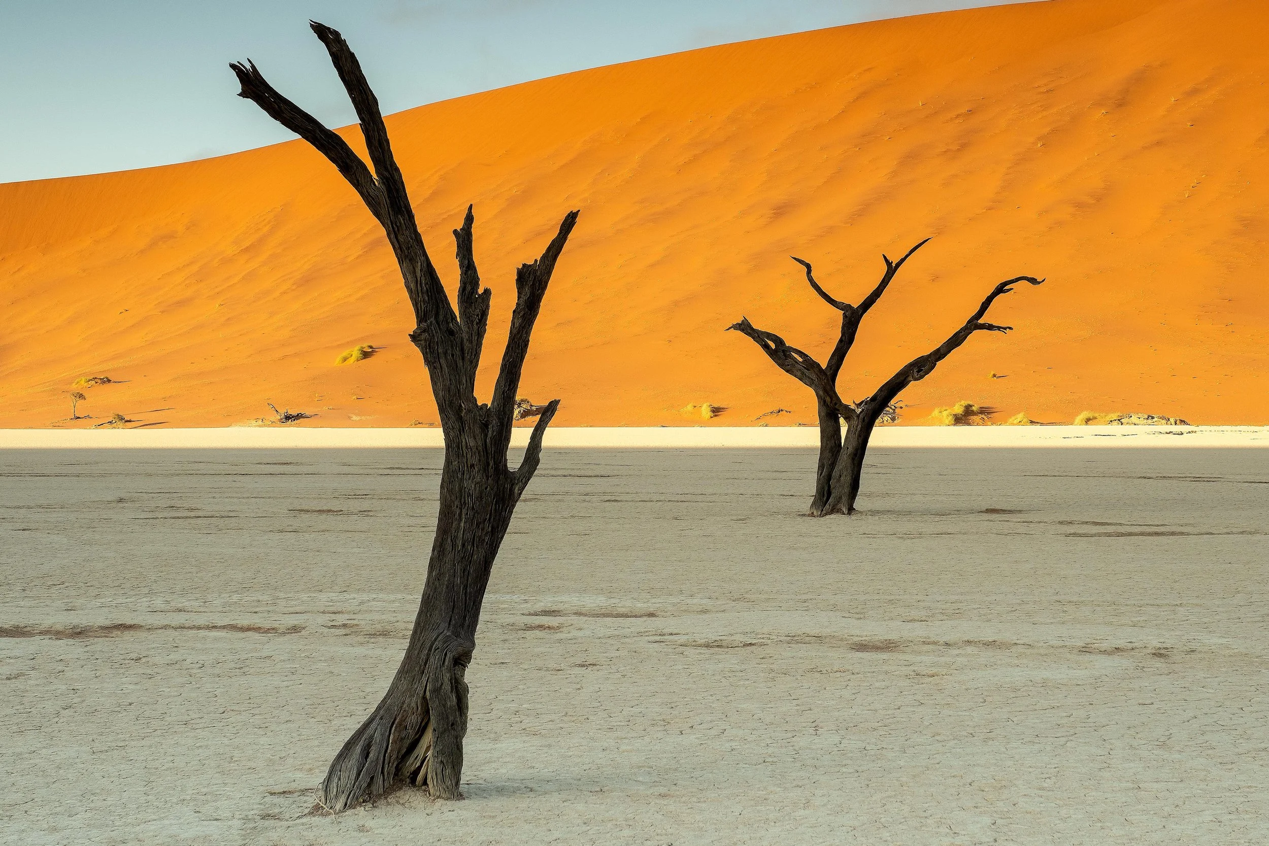 Namibia 2019 Feb TIFF-36.jpg