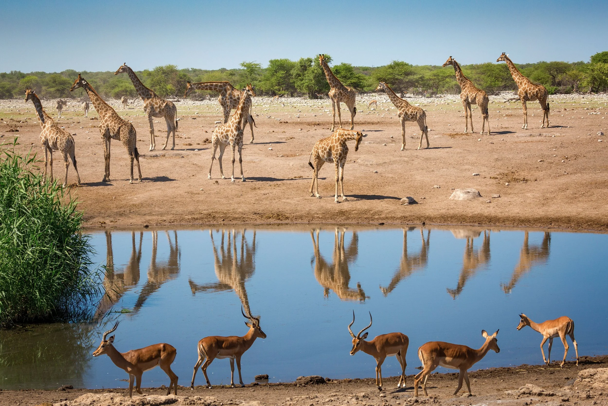 2nd selection Mathieu Namibia-4.jpg