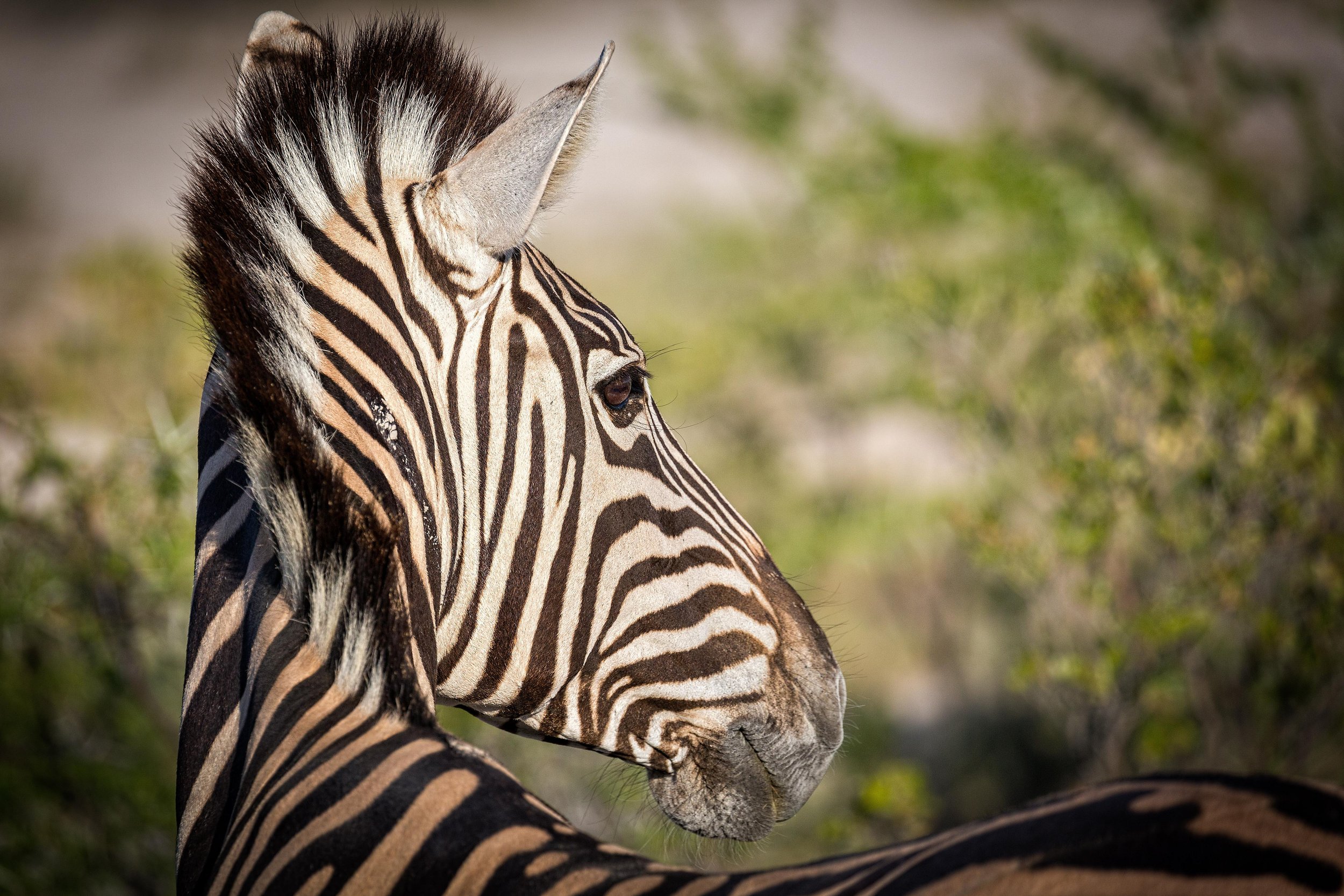 2nd selection Mathieu Namibia-3.jpg