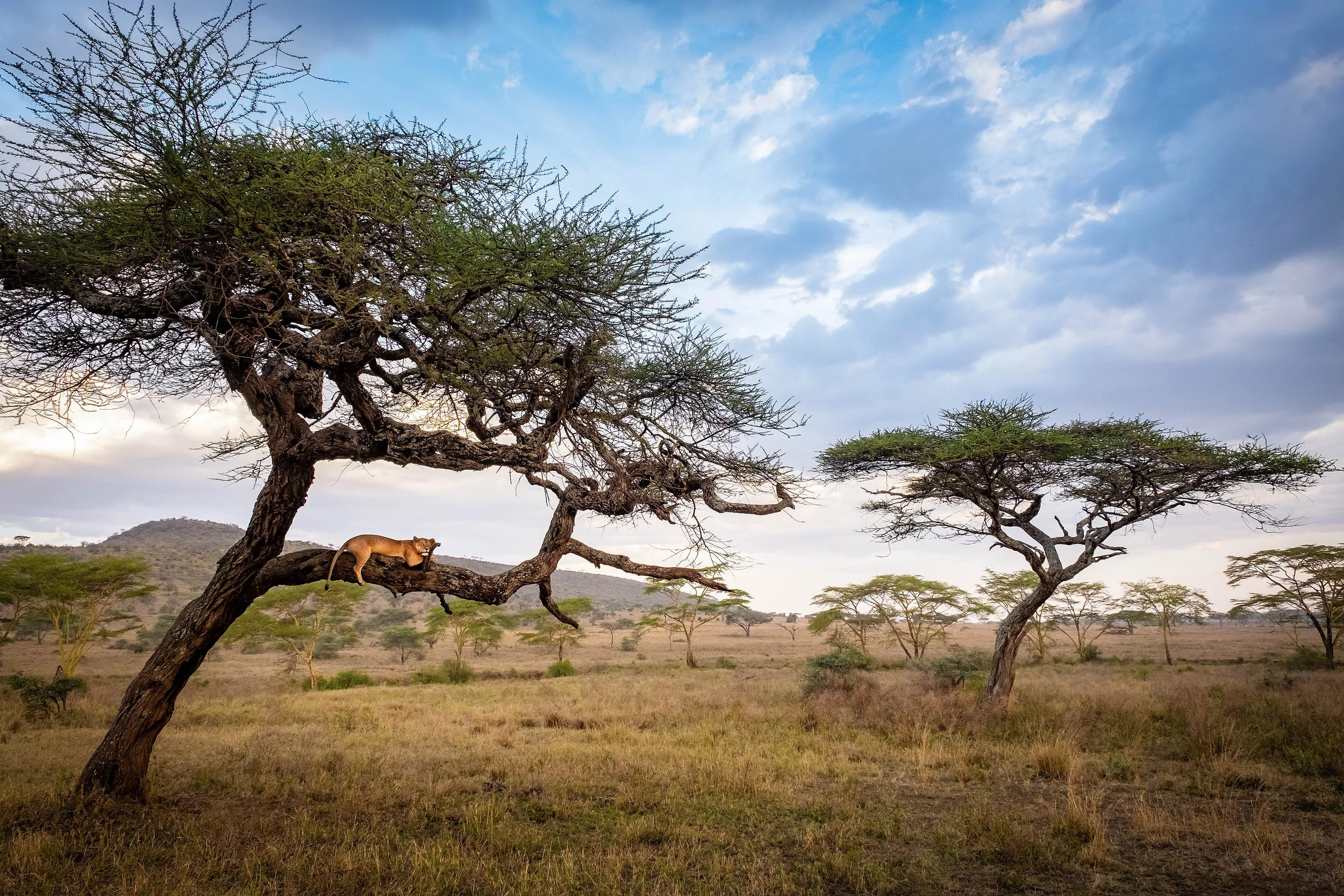 Tanzania-2018 September-DSCF2029-Edit-2-Edit.jpg