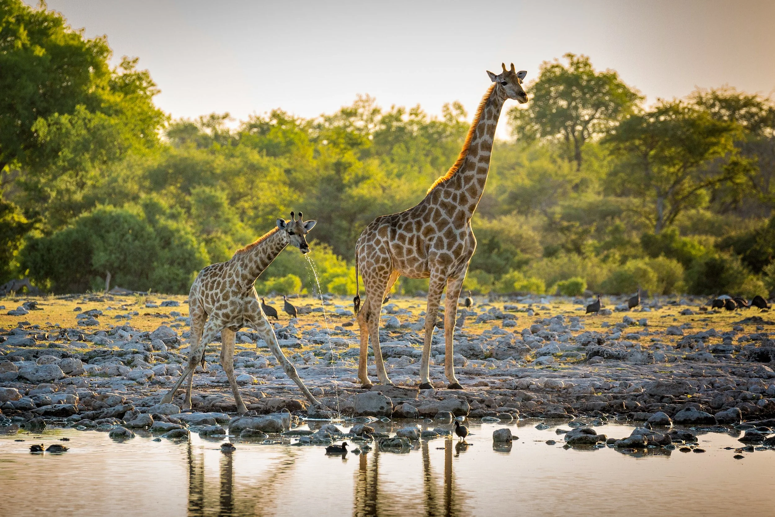 2nd selection Mathieu Namibia-2.jpg