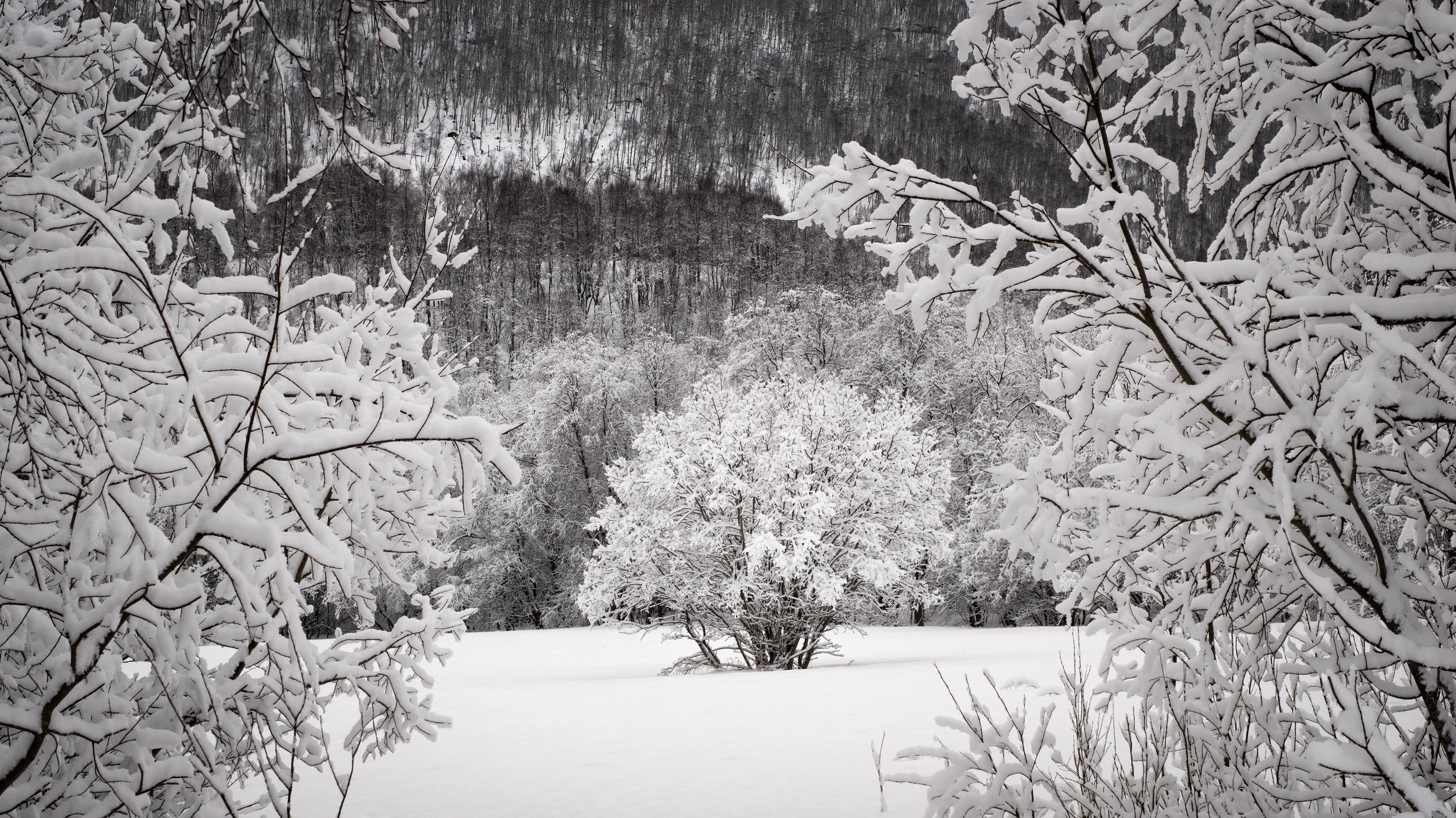 Senja-2023 February-_DSF4436-Edit.jpg