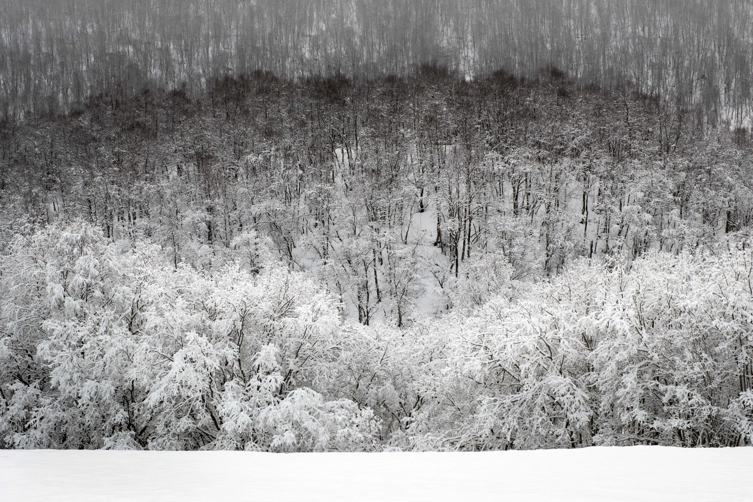 Senja-2023 February-_DSF4410.jpg