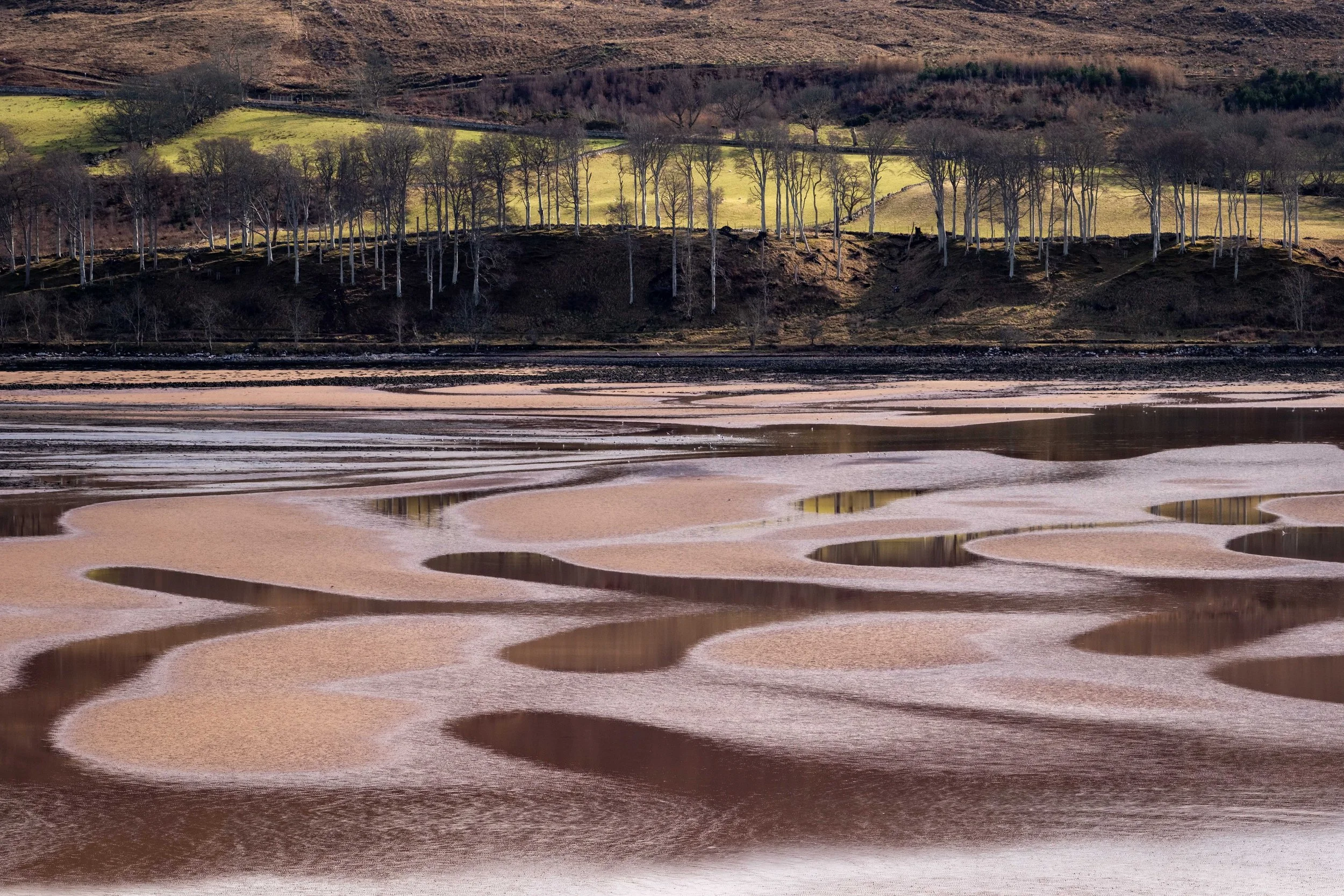 Scotland Torridon-2025 février-_DSF1486-Modifier.jpg