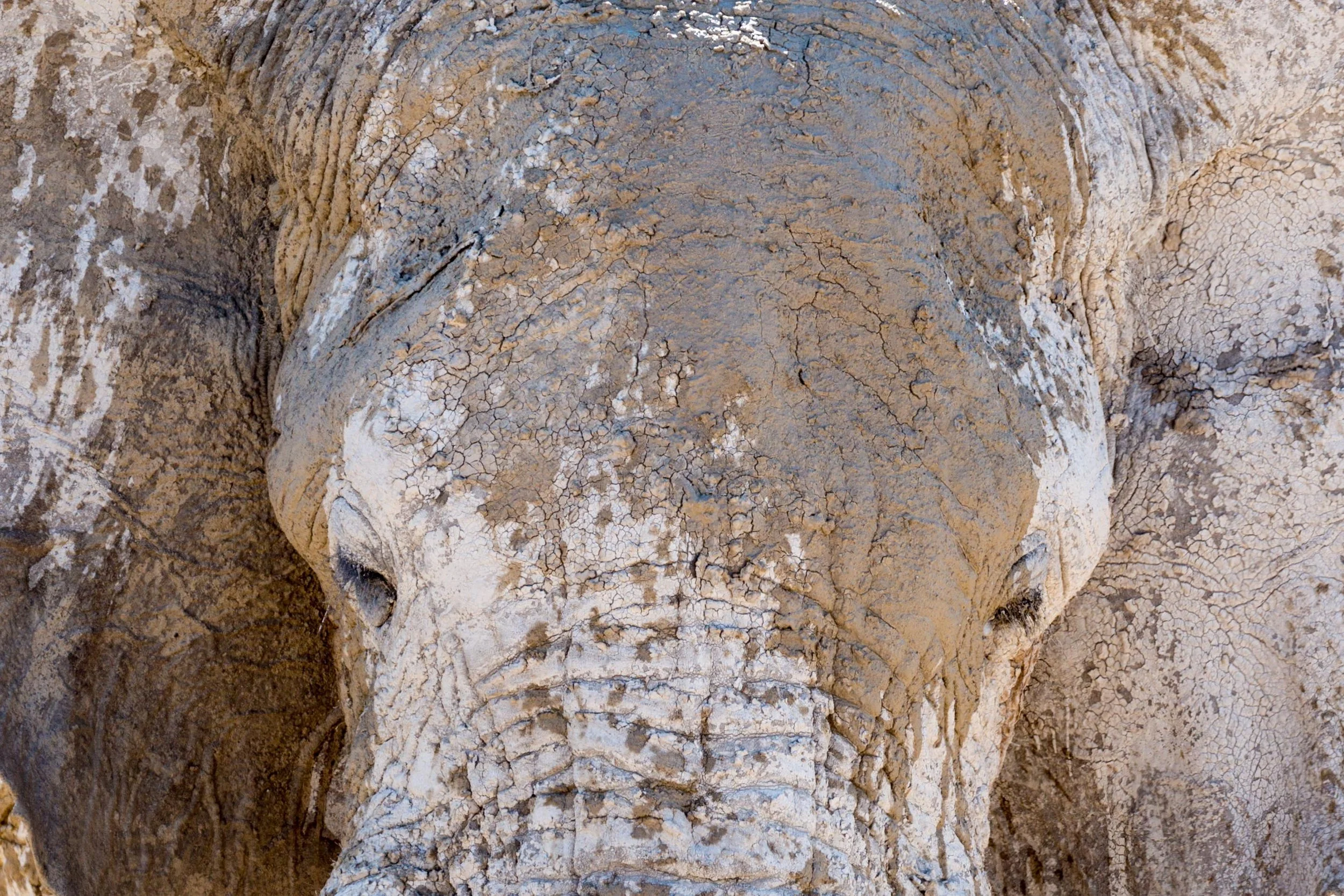 Namibia 2019 Feb TIFF-2554.jpg