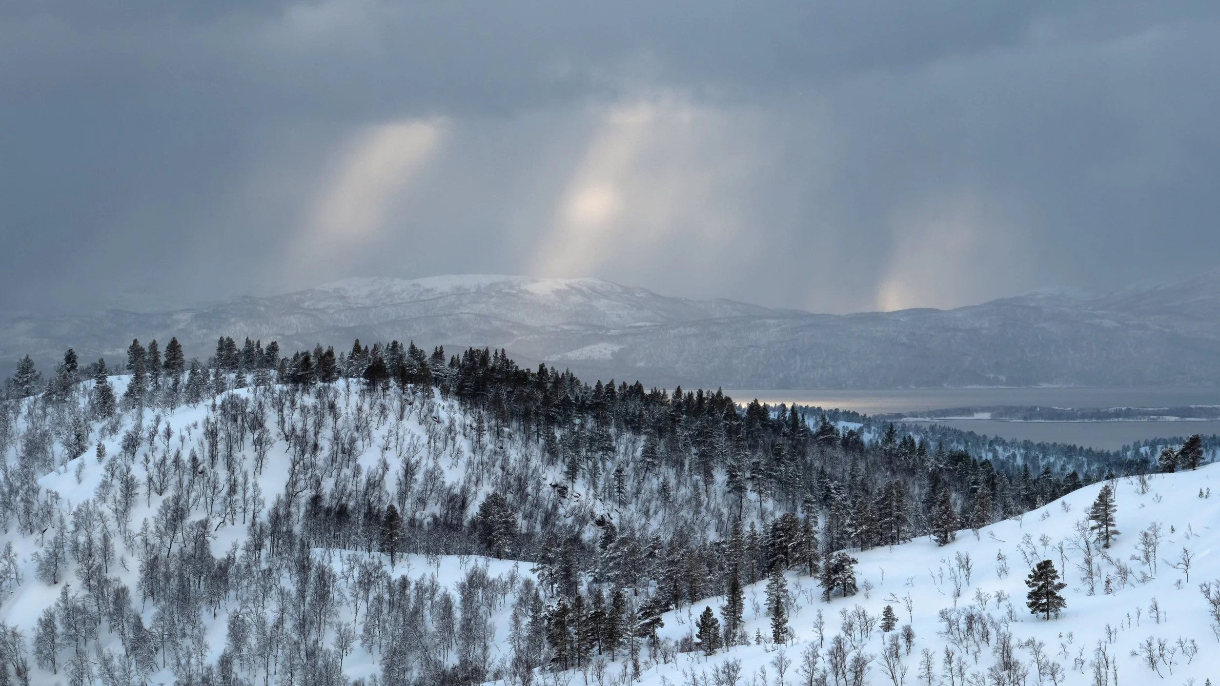 Senja-2023 February-_DSF0599.jpg