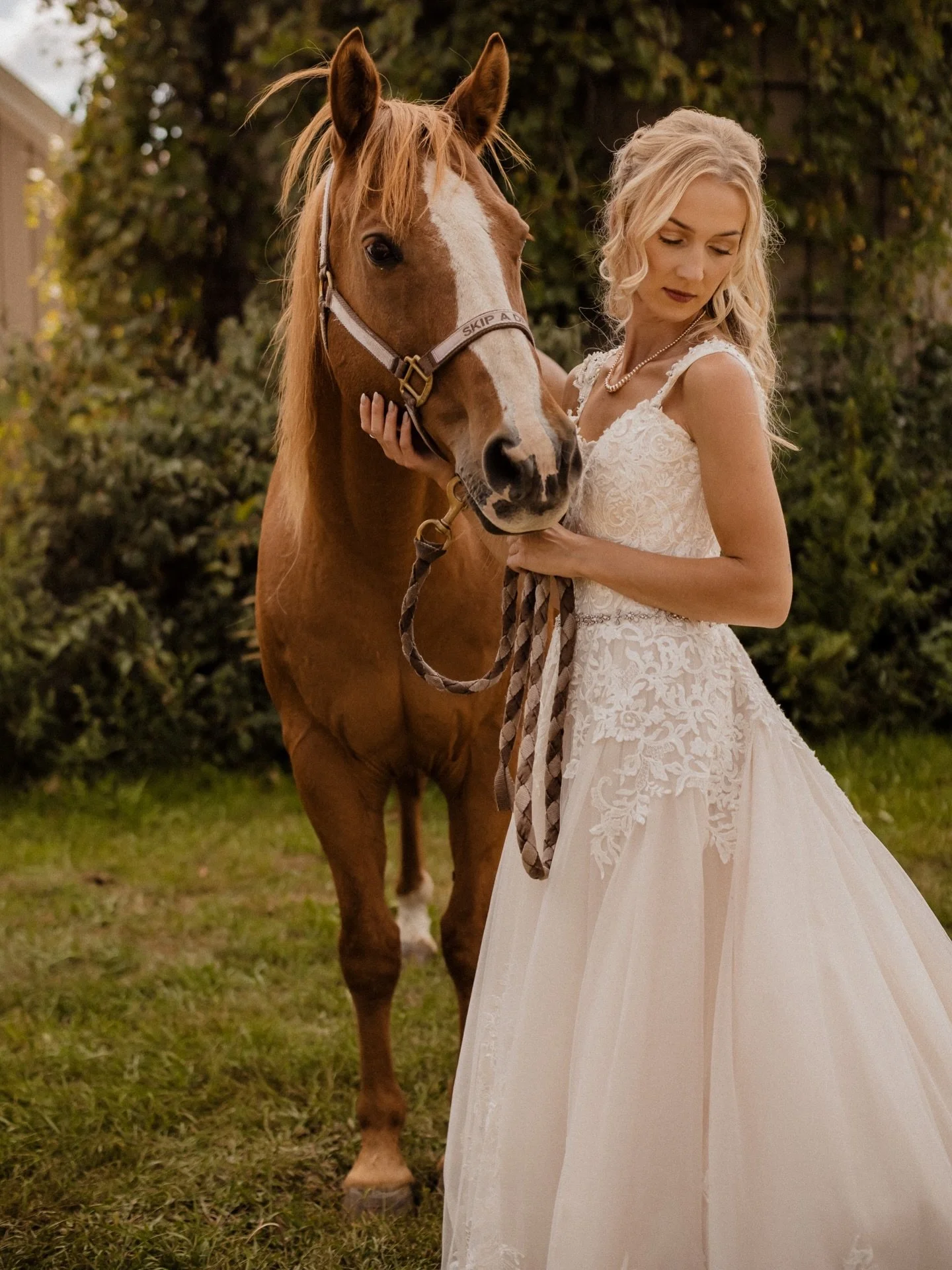 I never gave this wedding the moment it deserved on the gram, so here it is 😍 so in loveeee with April + Shawn&rsquo;s  private wedding day on their family&rsquo;s property!

2nd photographer @iamjoshschwartz 

#wisconsinweddingphotographer #horsegi