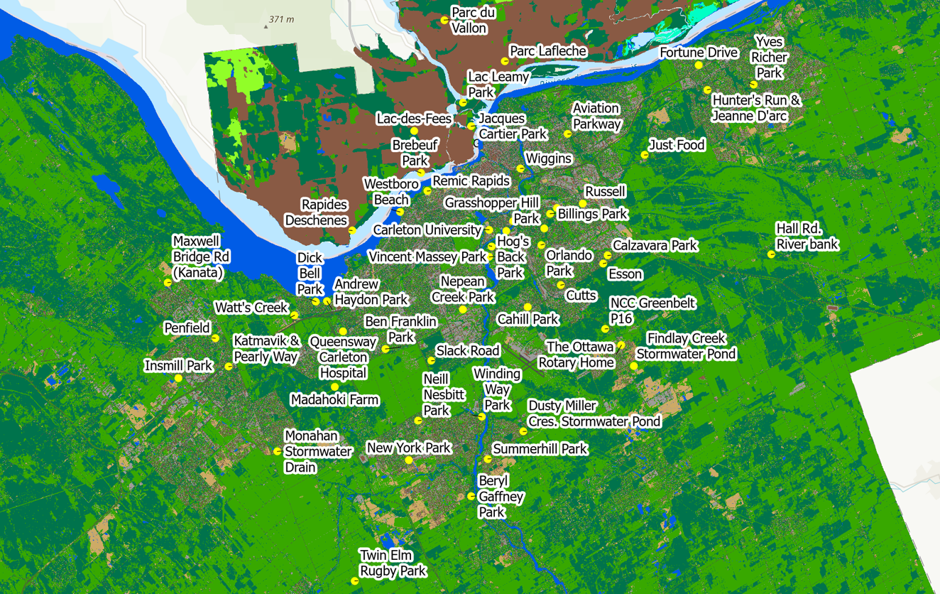 BIOL 5404 - Urban Trees in Ottawa-Gatineau