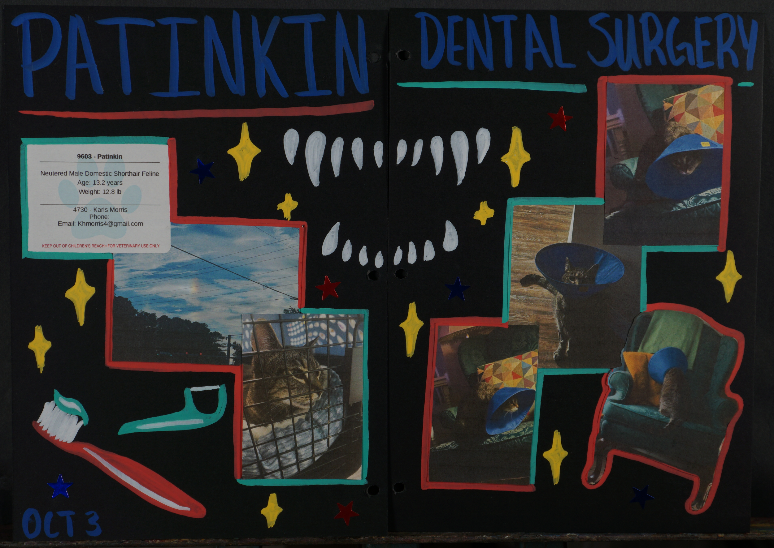 Patinkin Dental Surgery (2025 Scrapbook 44 & 45) - November 2025
