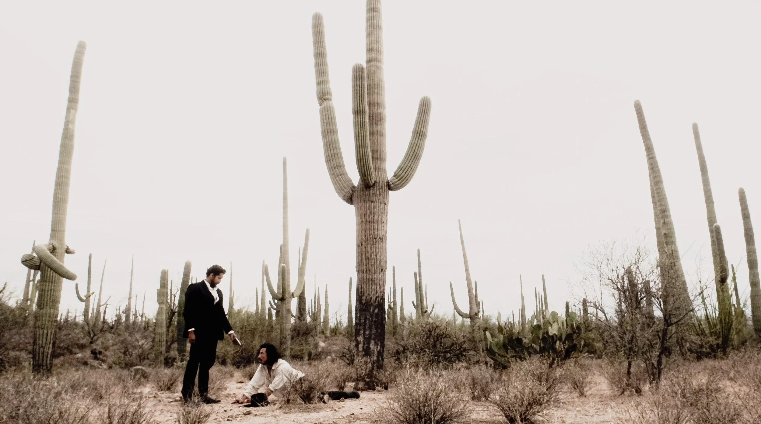 45. Saguauro Wake.JPG