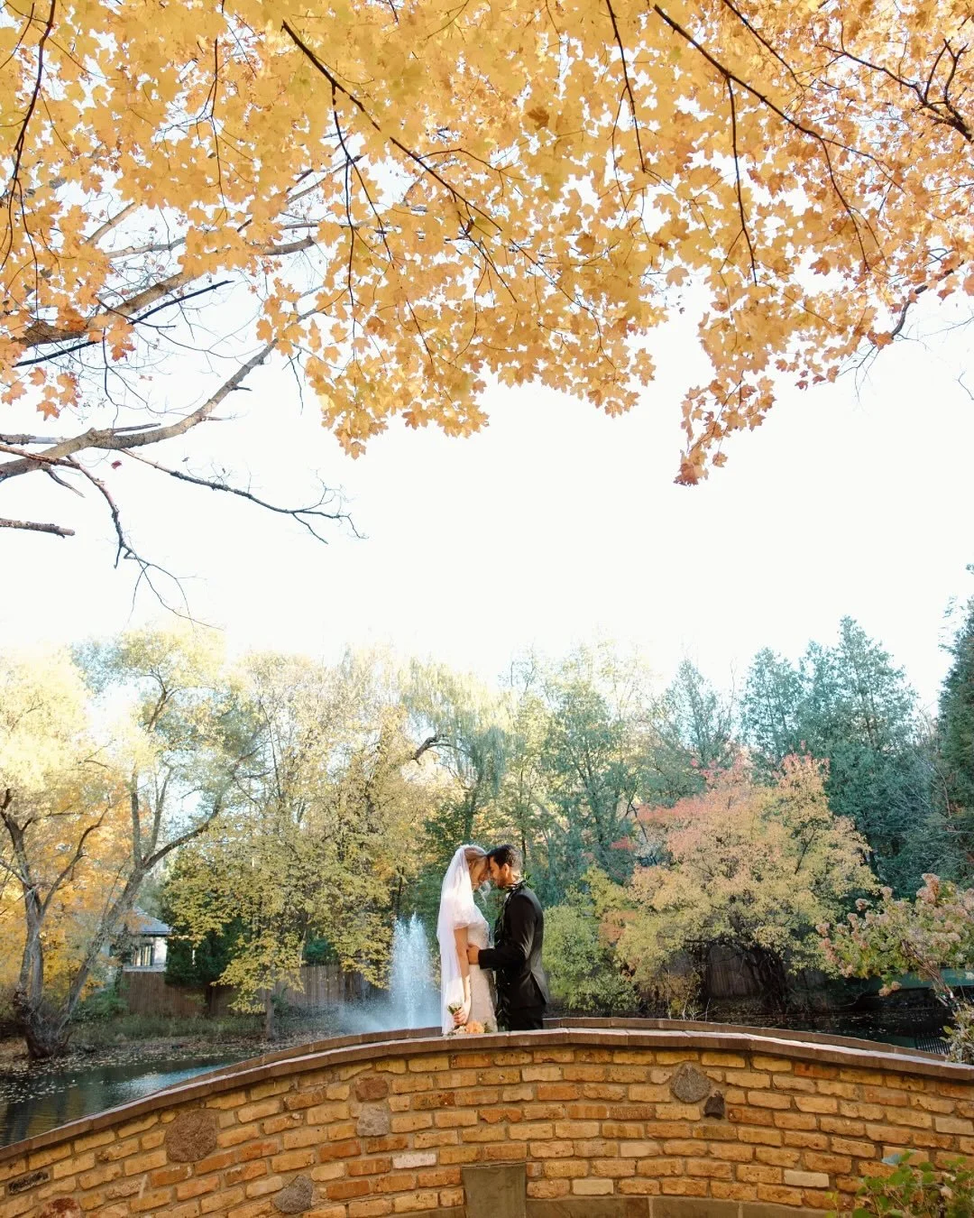 One week ago 💛

venue: @woodsretreatmn
florist: @jadenkay.designs 
catering: @onohawaiianplates

&bull;
&bull;
&bull;

Destination wedding / destination wedding photographer / Omaha wedding photographer / Nebraska wedding photographer / Minnesota we