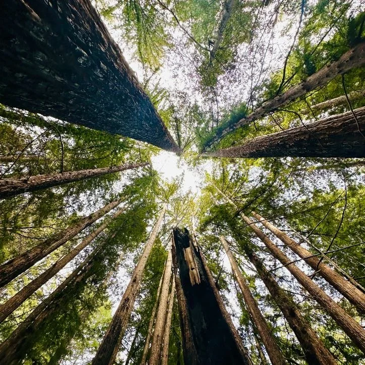 468D8D89-0009-404D-86FD-410340FBBCAE (2).jpeg