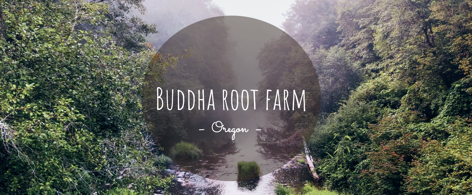 Buddha Root Farm: Guan Yin &amp; Chan Session