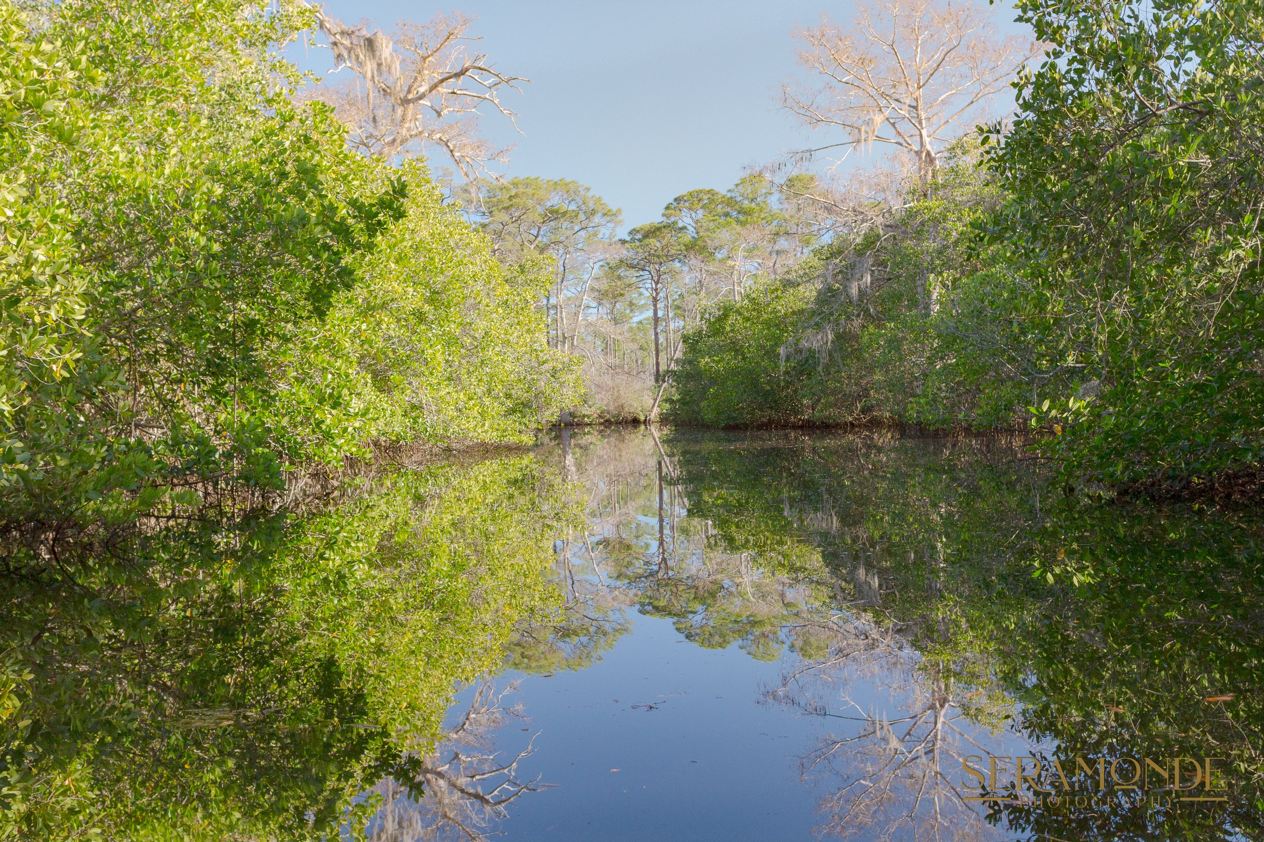 Seramonde Photography, Wyn Padgett, Reflection on the River, Florida River, Kayaking in Florida