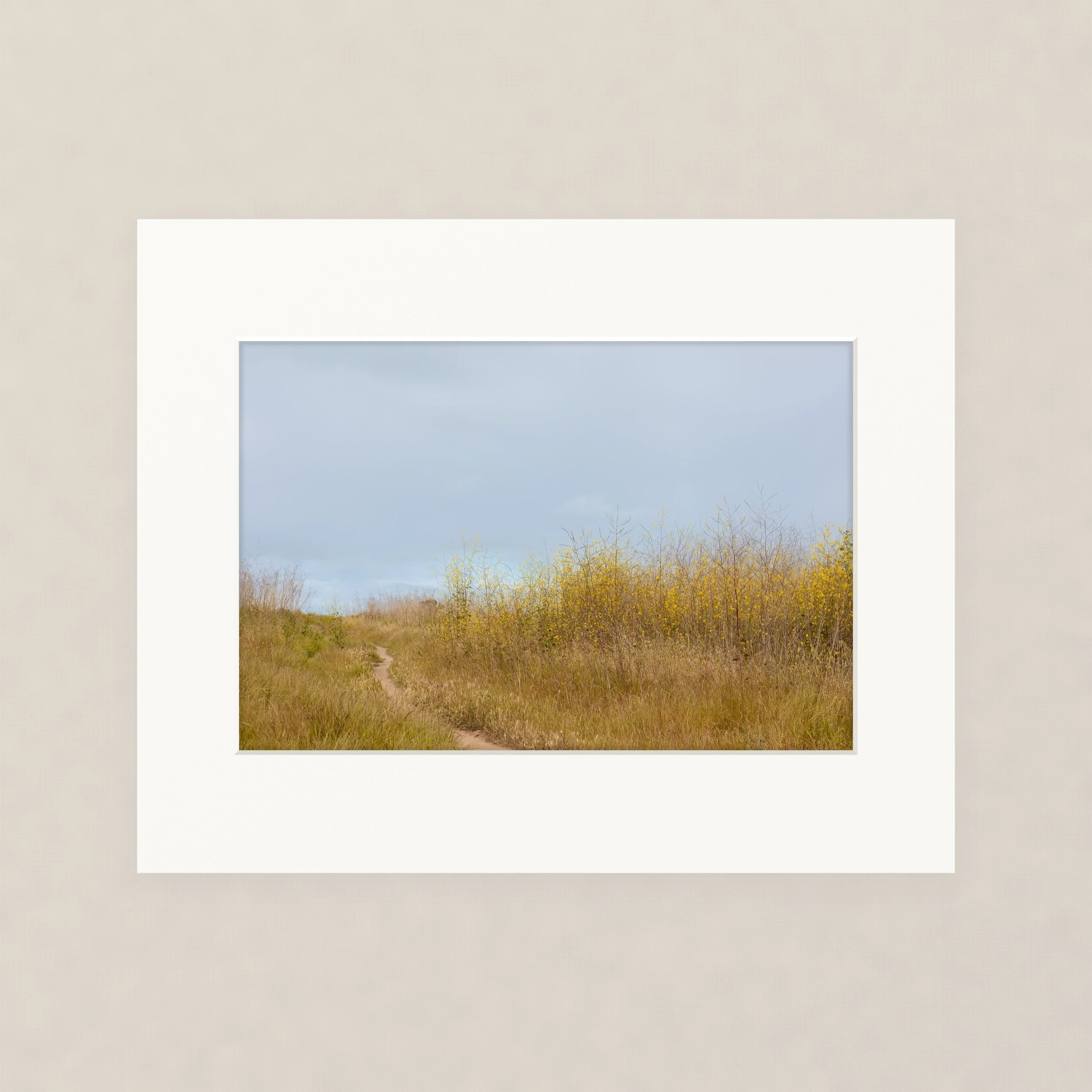 Santa Barara fine art photography prints:  A landscape view of a grassy field with small bushes and a dirt trail leading into a forested area under a cloudy sky. California coastal bluffs.