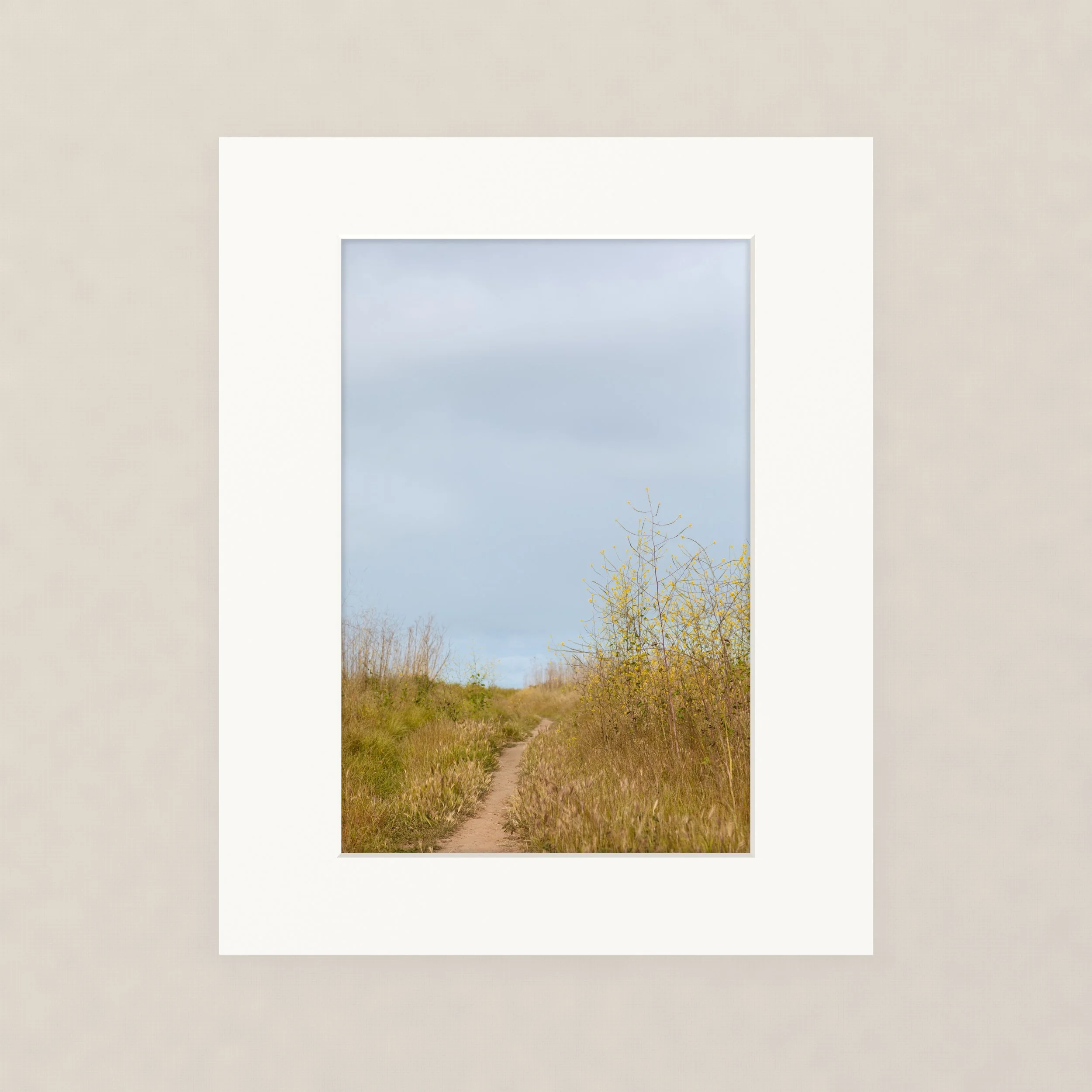 Santa Barara fine art photography prints:  A dirt path through tall grass and trees with light green leaves under a clear blue sky. California coastal bluffs.