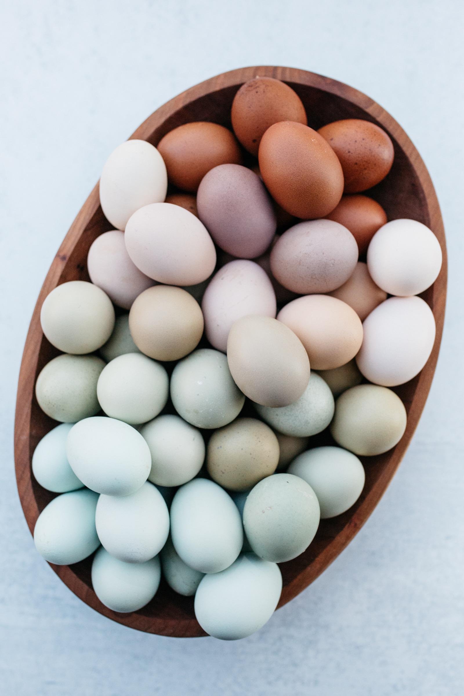  basket of eggs 