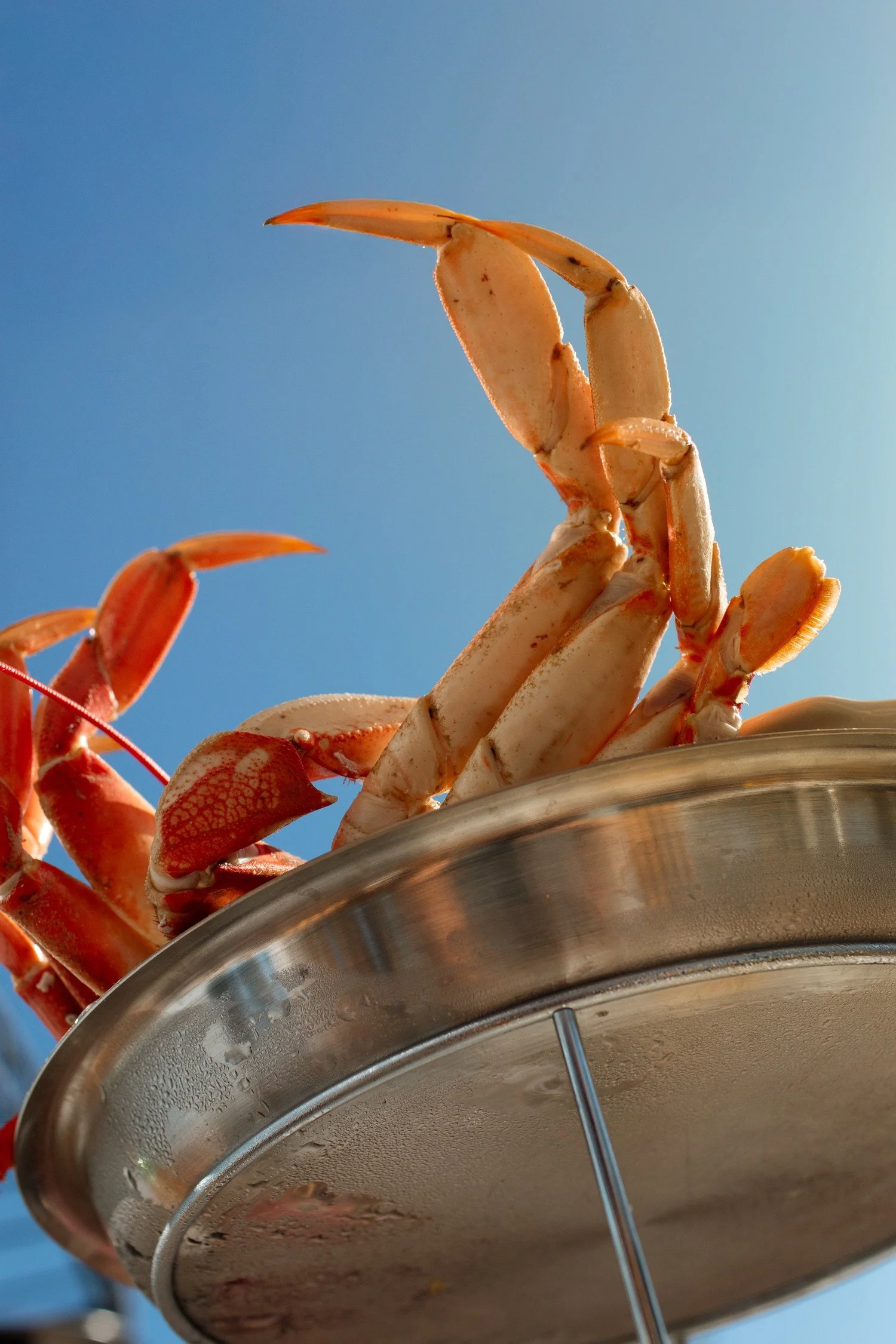 santa barbara editorial photographer clark's oyster bar montecito25.jpg