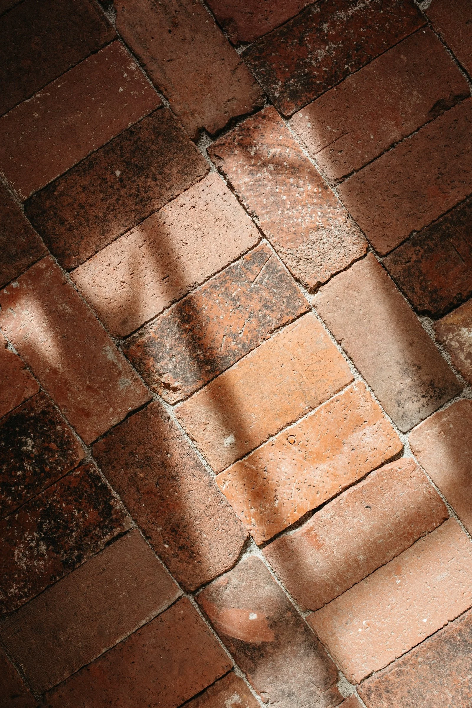 sara prince santa barbara photography 50.jpg