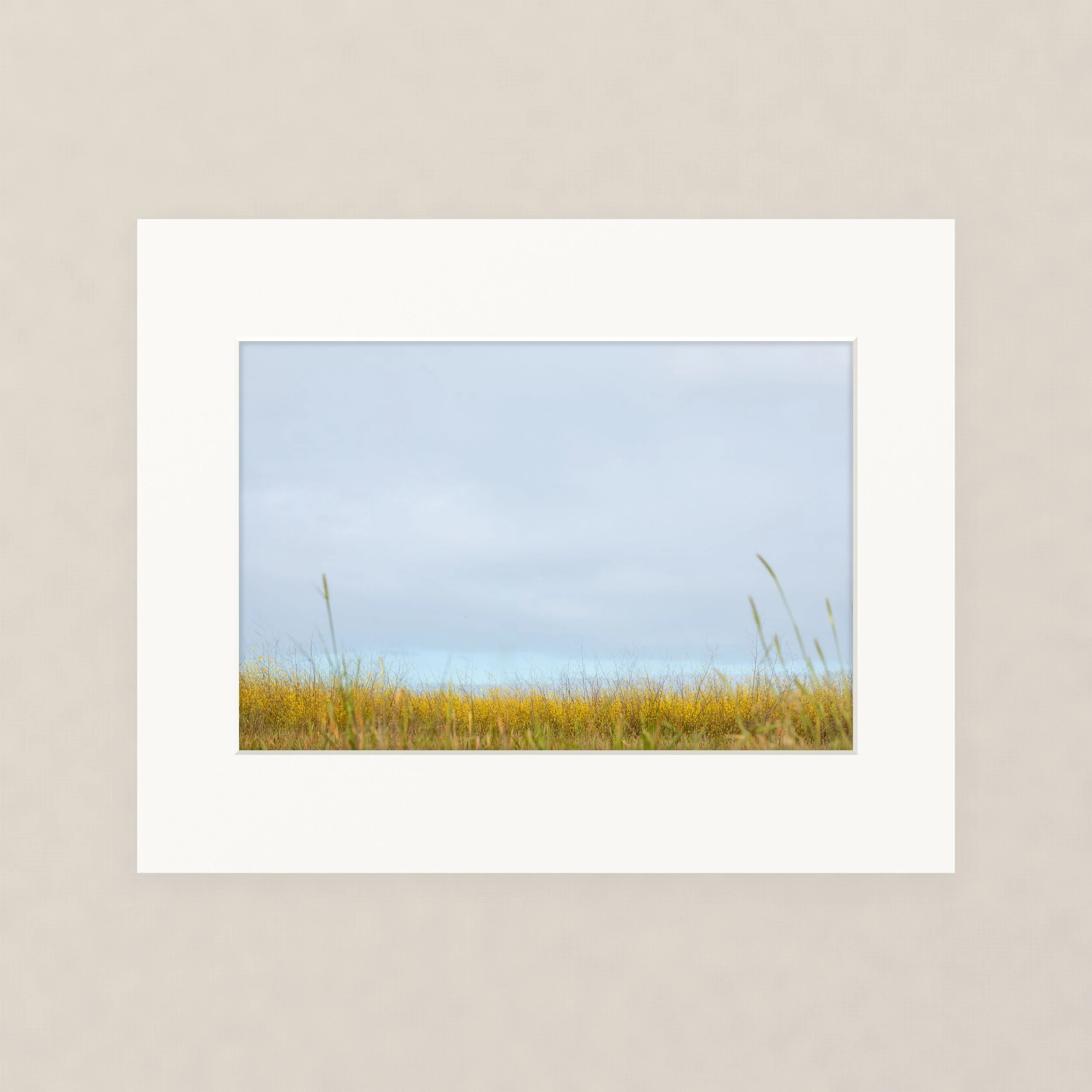 Santa Barara fine art photography prints:  A view of a blue sky with some clouds over a field with yellow flowers and green grass.
