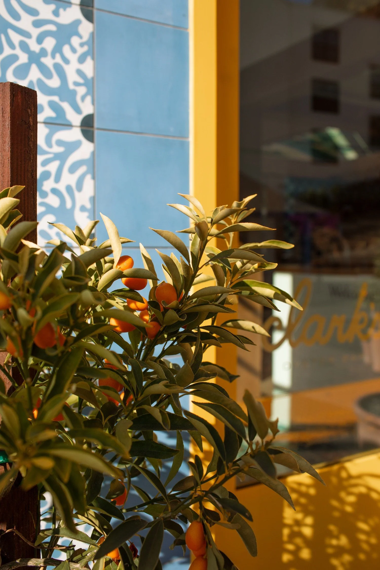 santa barbara editorial photographer clark's oyster bar montecito27.jpg