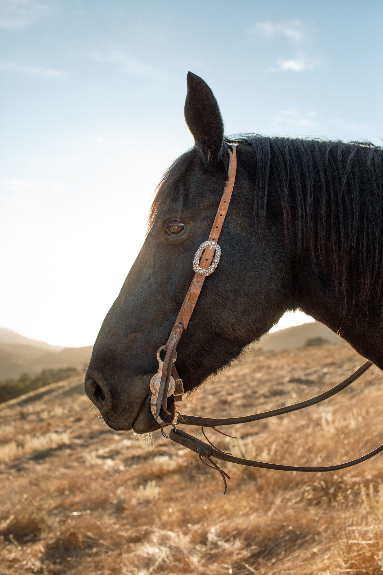 TSG alisal ©saraprince16.jpg