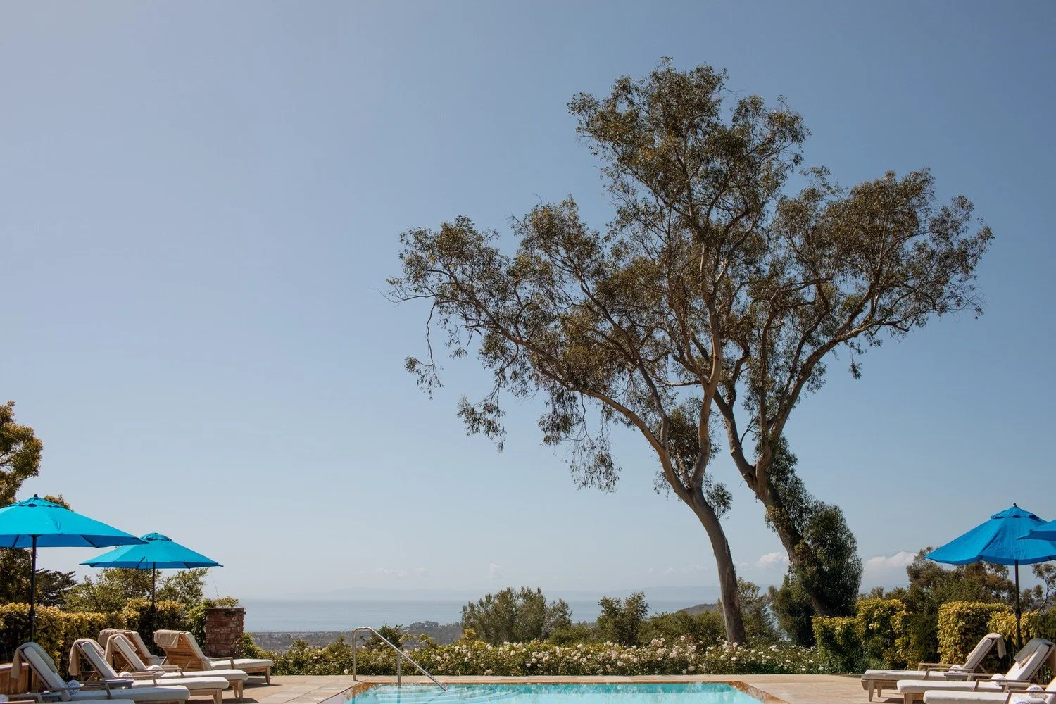 the scout guide santa barbara sara prince photography102.jpg