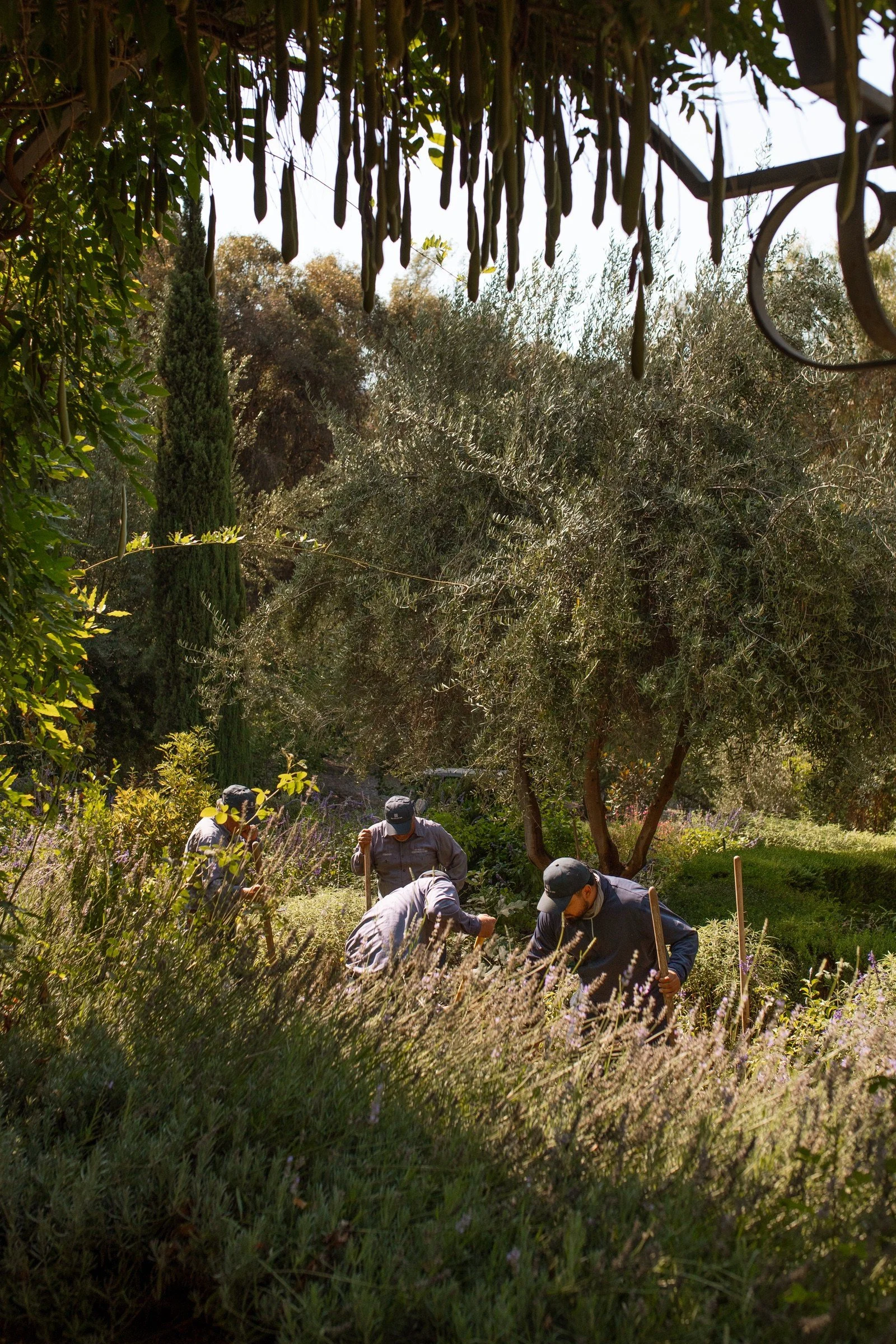 ojai valley inn ©saraprince2.jpg