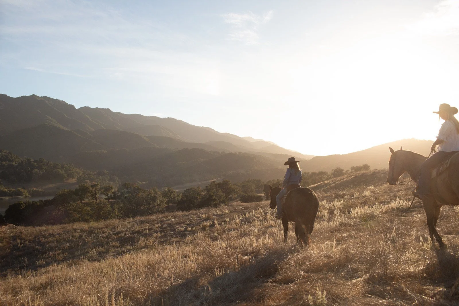 TSG alisal ©saraprince17.jpg